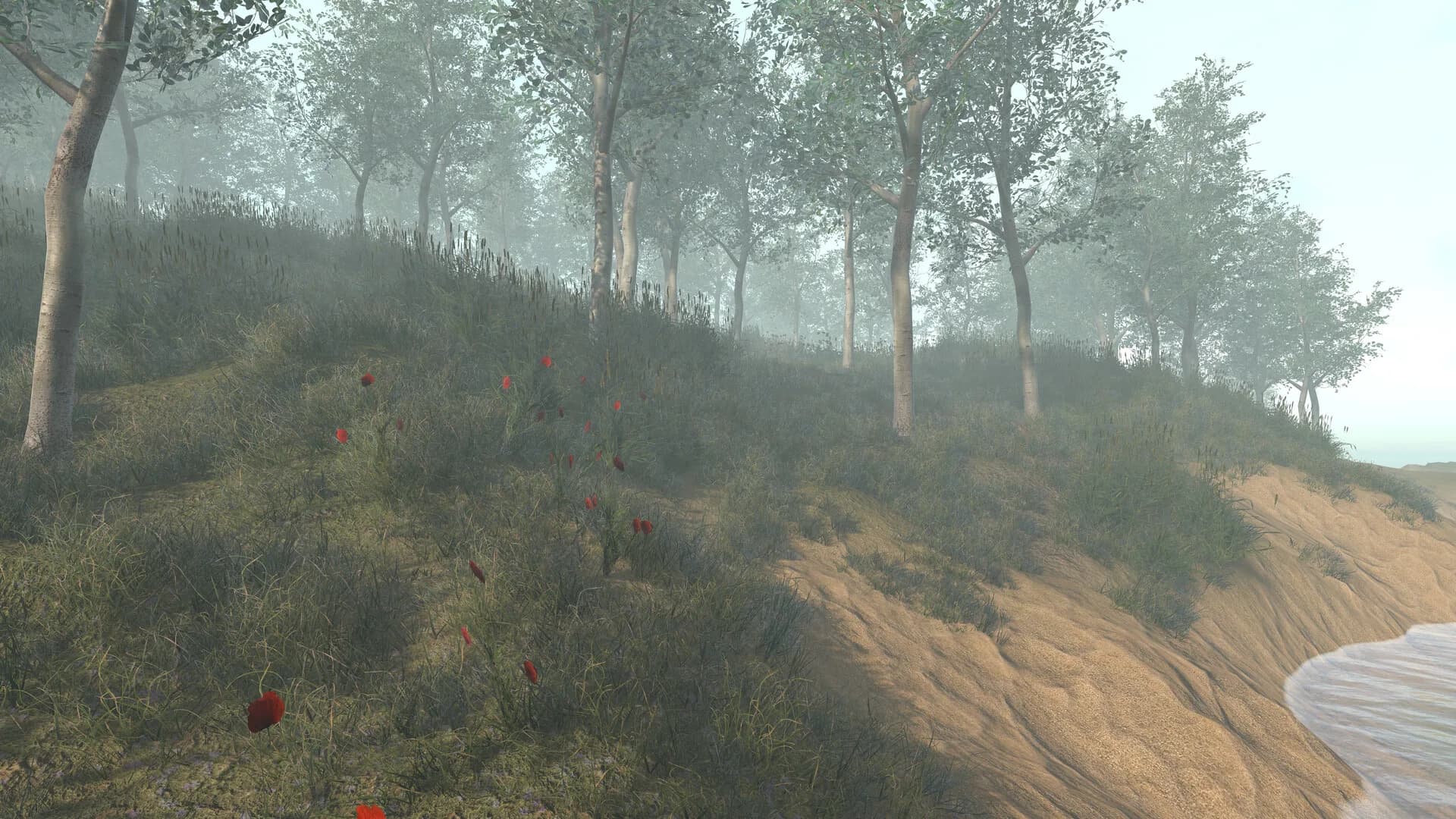 Otar Island görsel 7