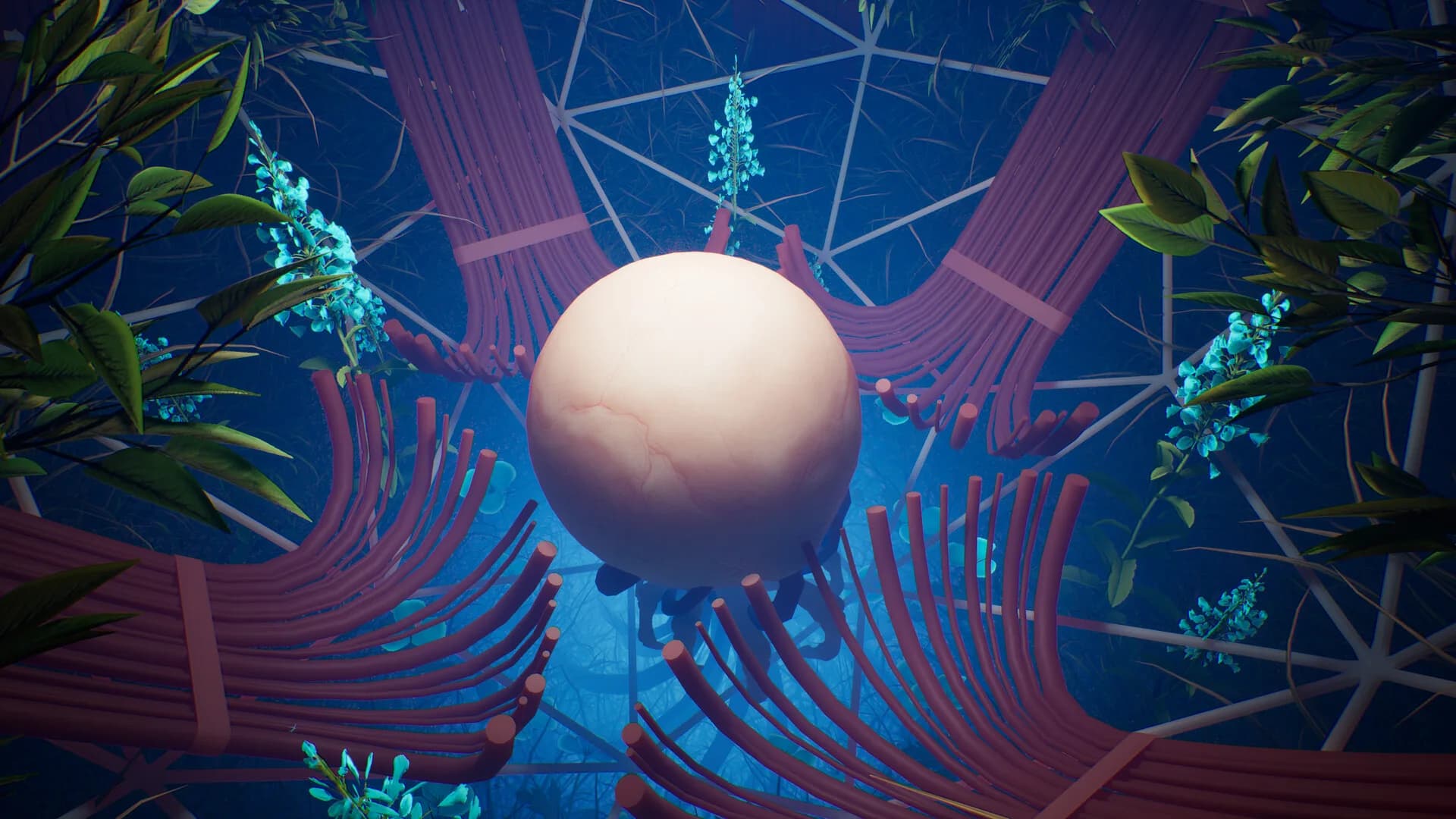 Lifecycles of the Traveler Spider görsel 7