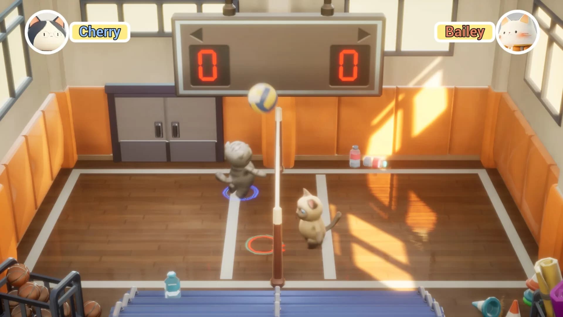 PawlleyBall görsel 4
