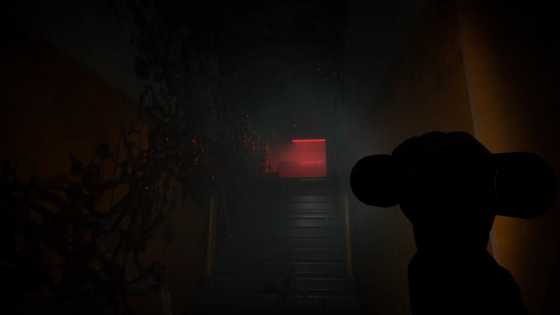 SpliceBorn görsel 8