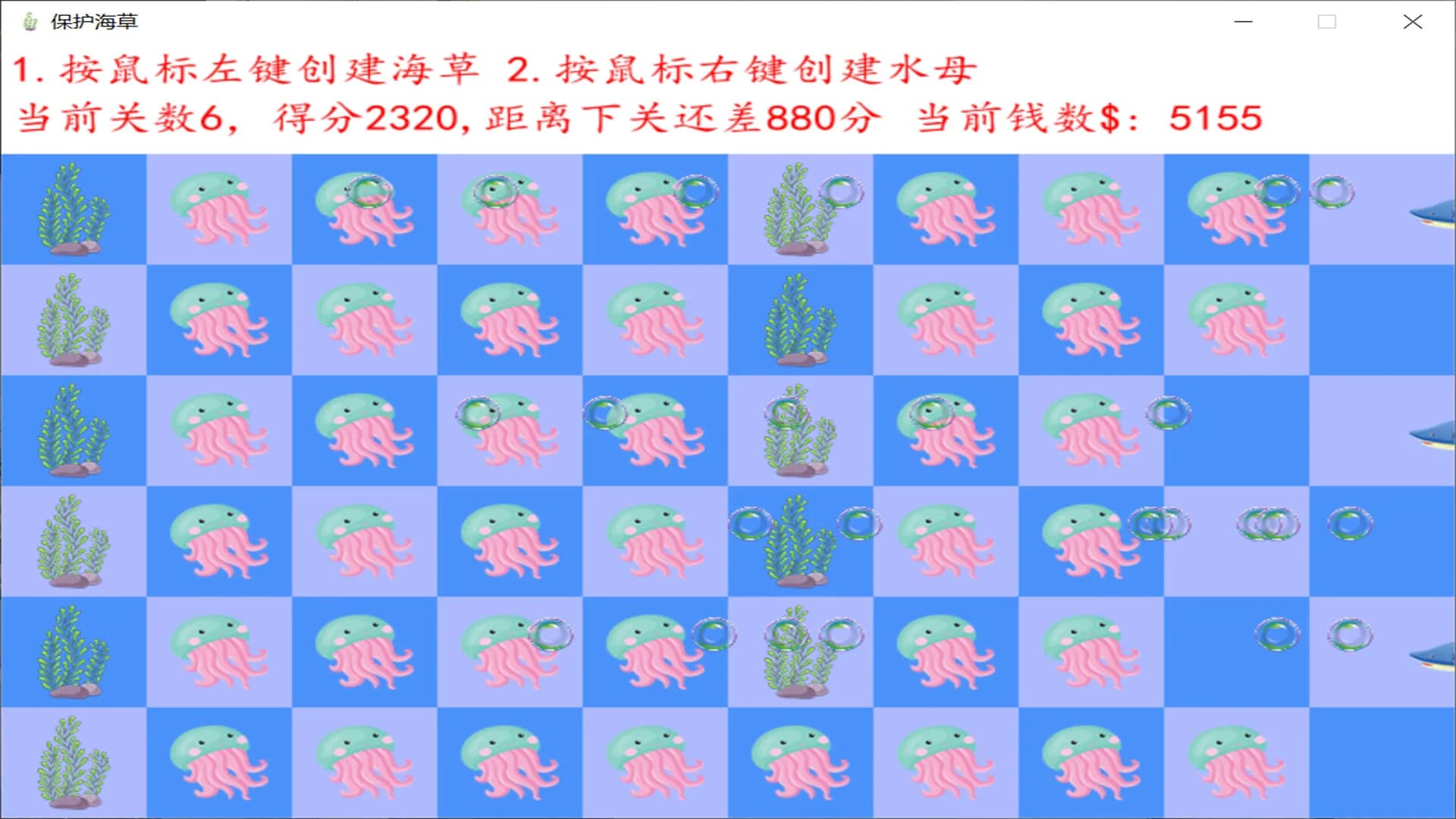 Protecting seagrass 保护海草 görsel 5