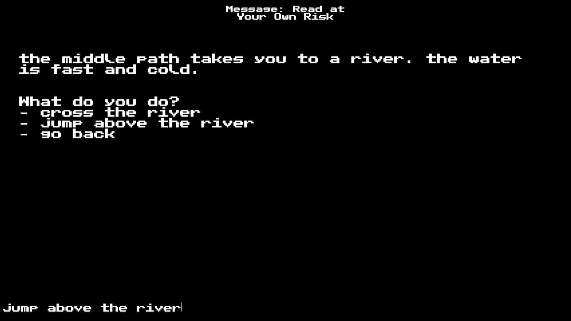 Message: Read at Your Own Risk görsel 5