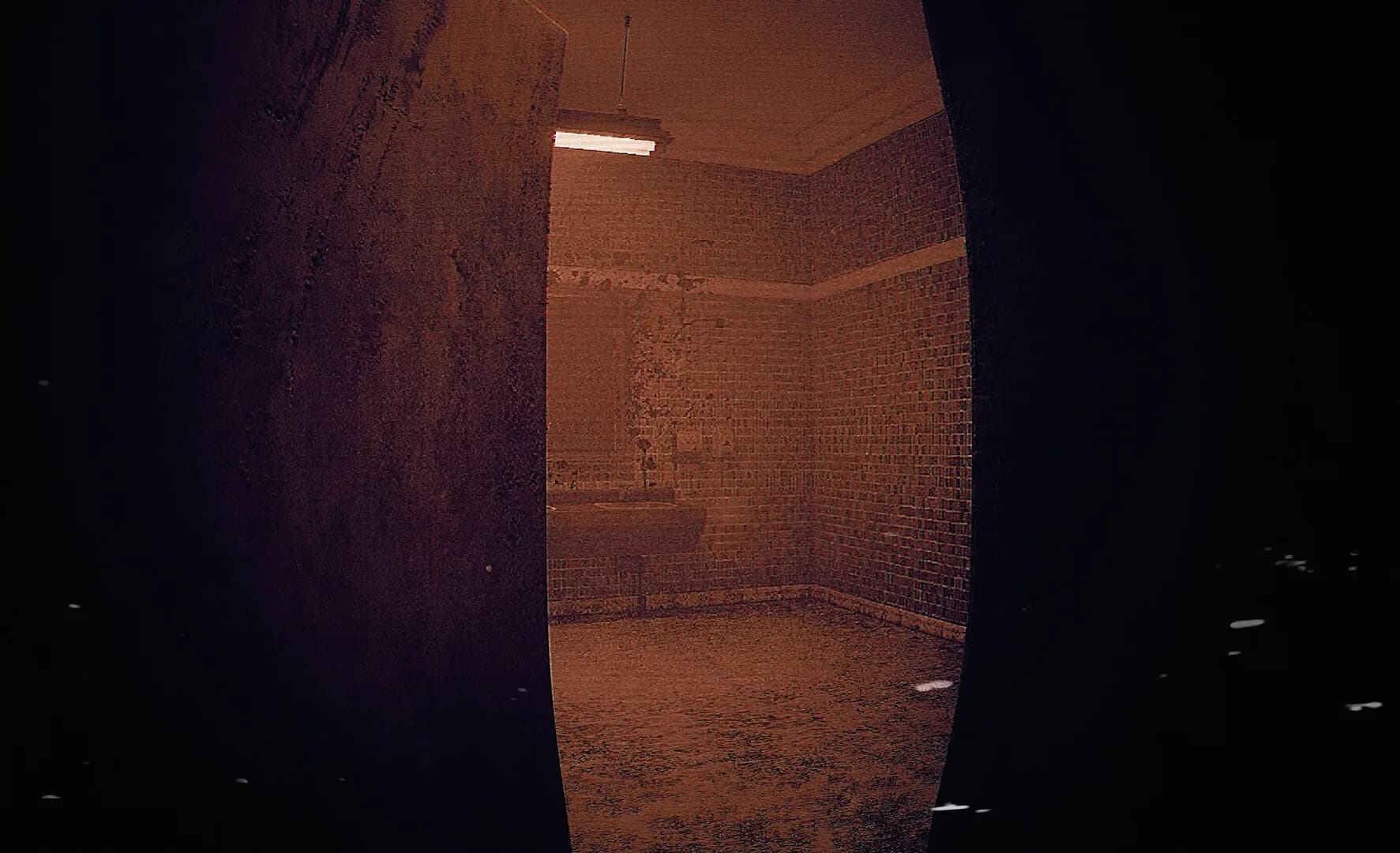 ALONE: Mnemophobia görsel 5