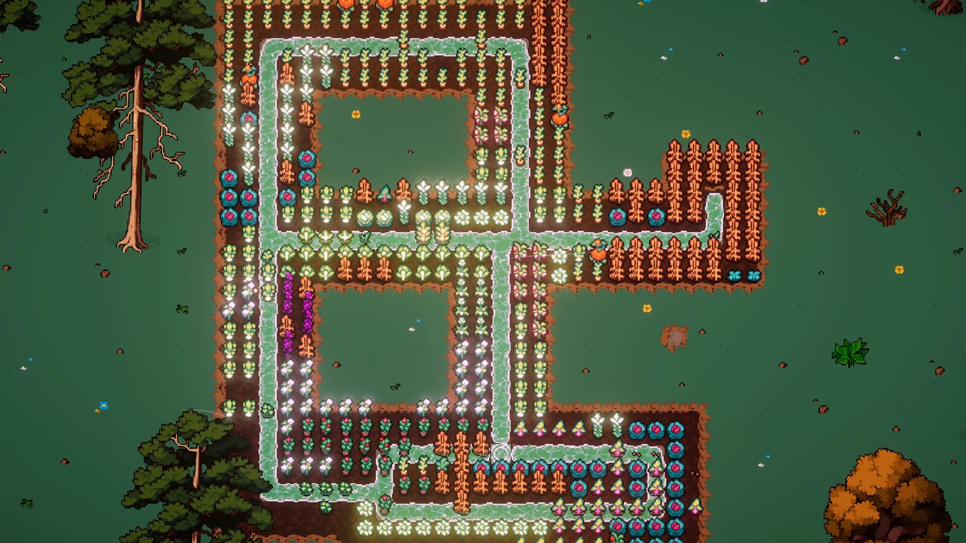 MaX Farm görsel 3