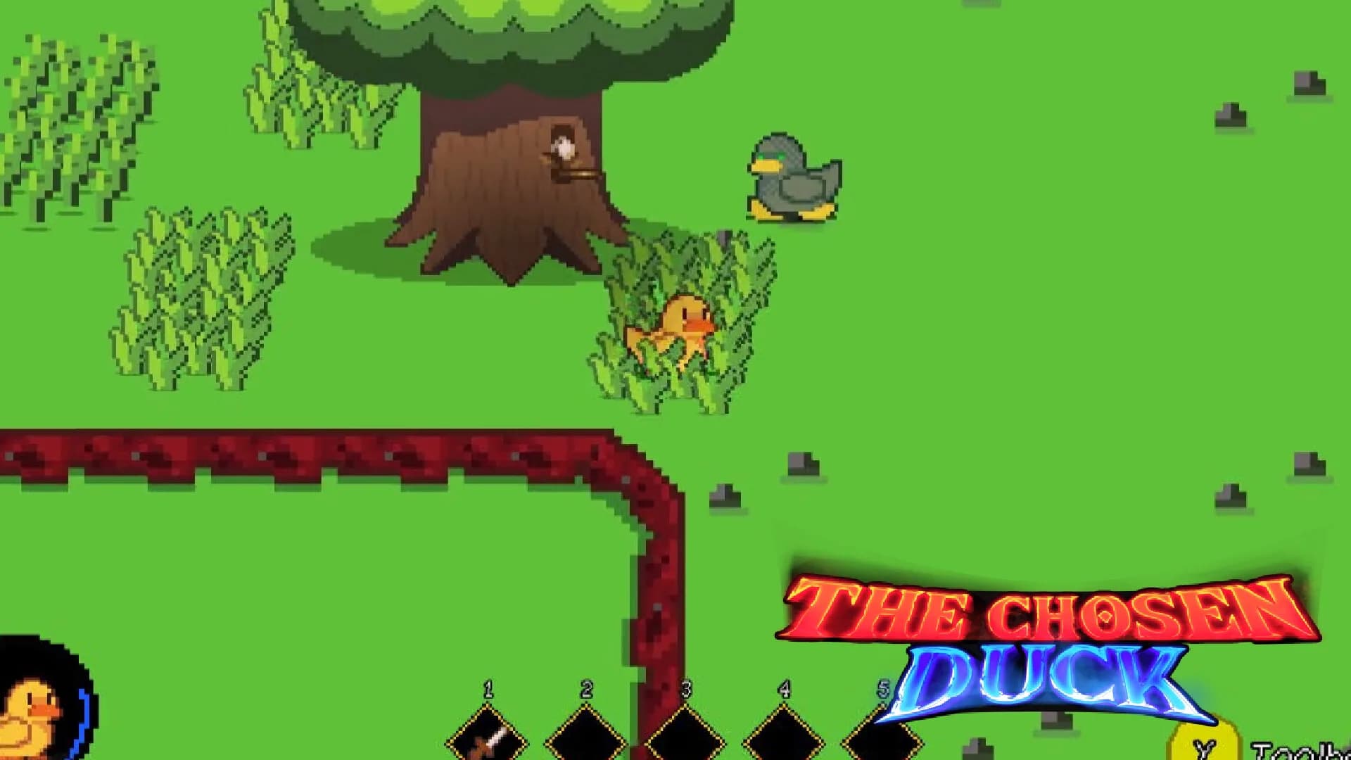 The Chosen Duck görsel 6