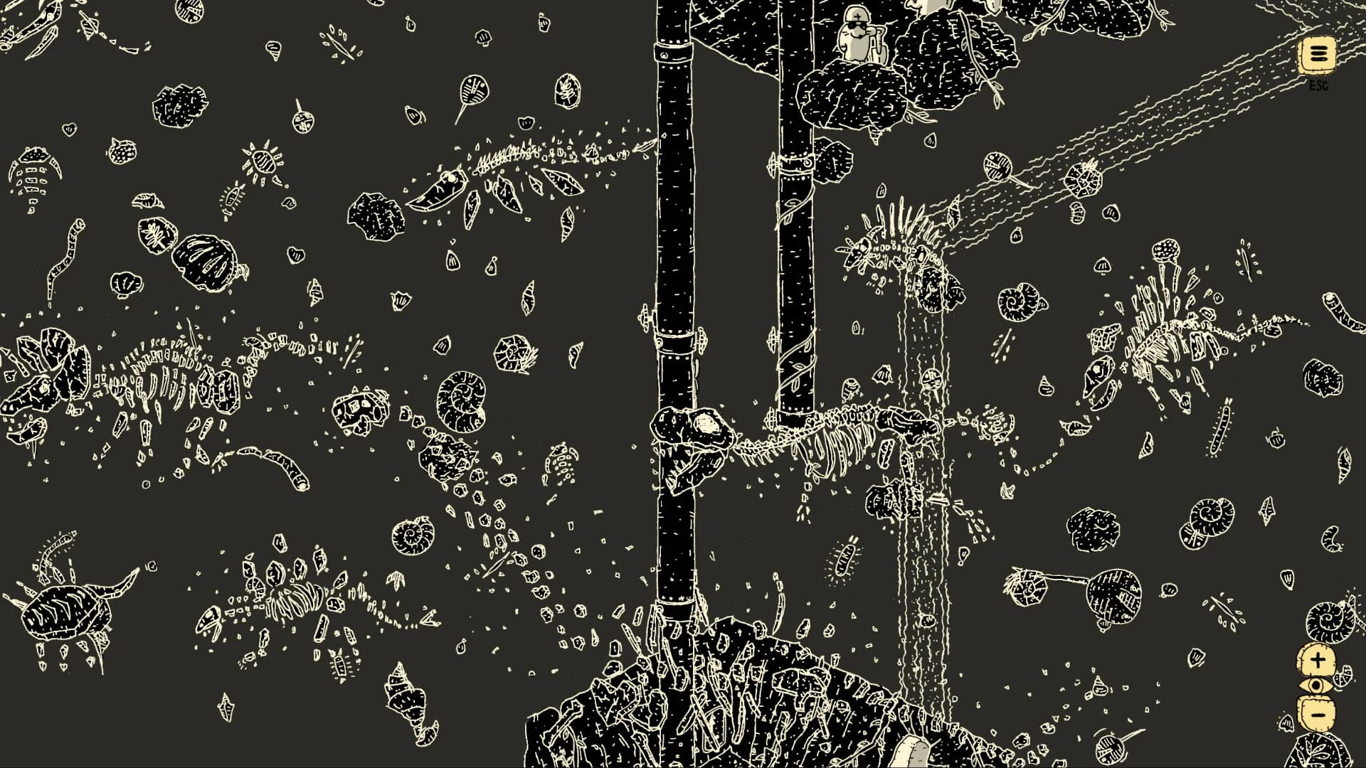 Finding Polka görsel 9