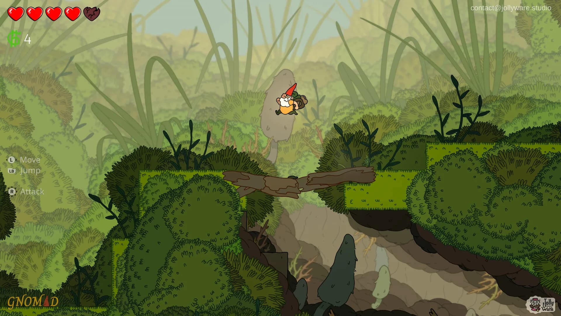 Gnomad görsel 2
