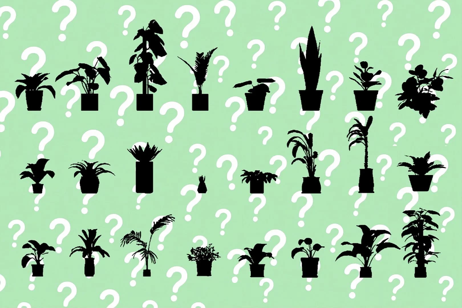 A Game About PLANT görsel 3