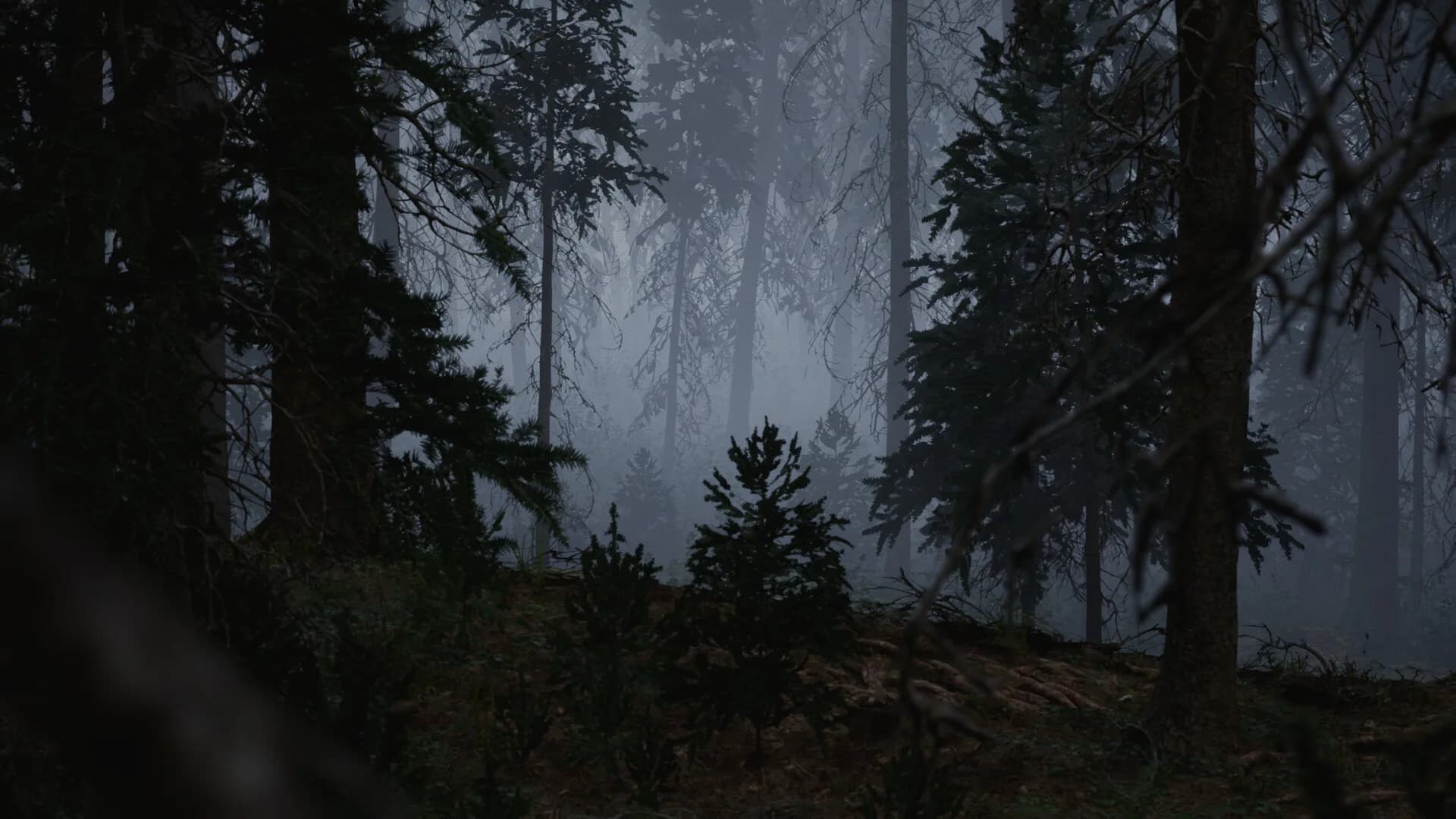 Veil of Mist görsel 9