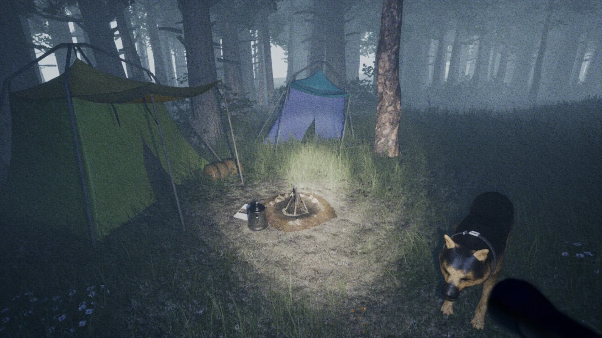 Skinwalkers Valley görsel 7