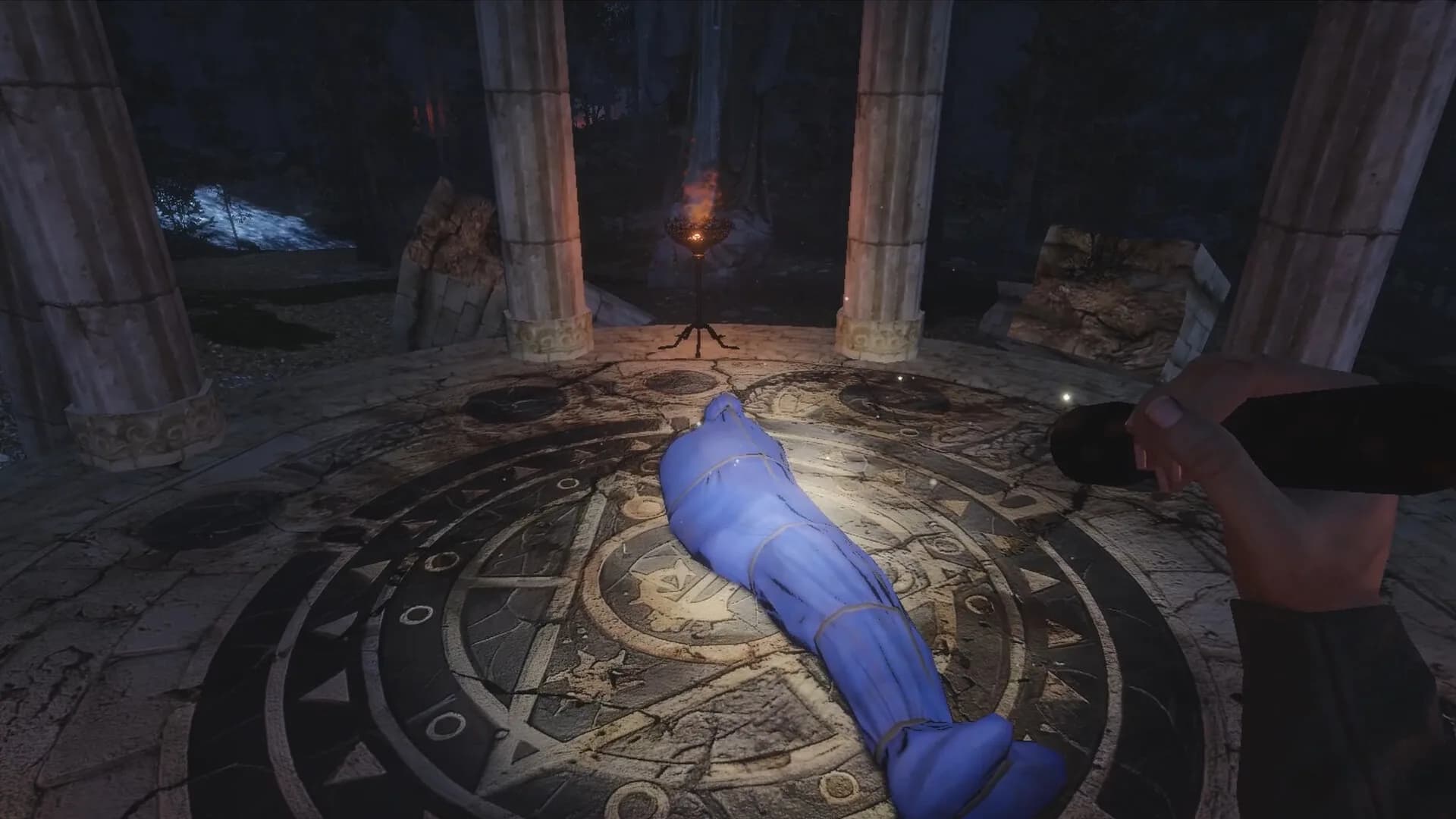 The Forest Watches görsel 5