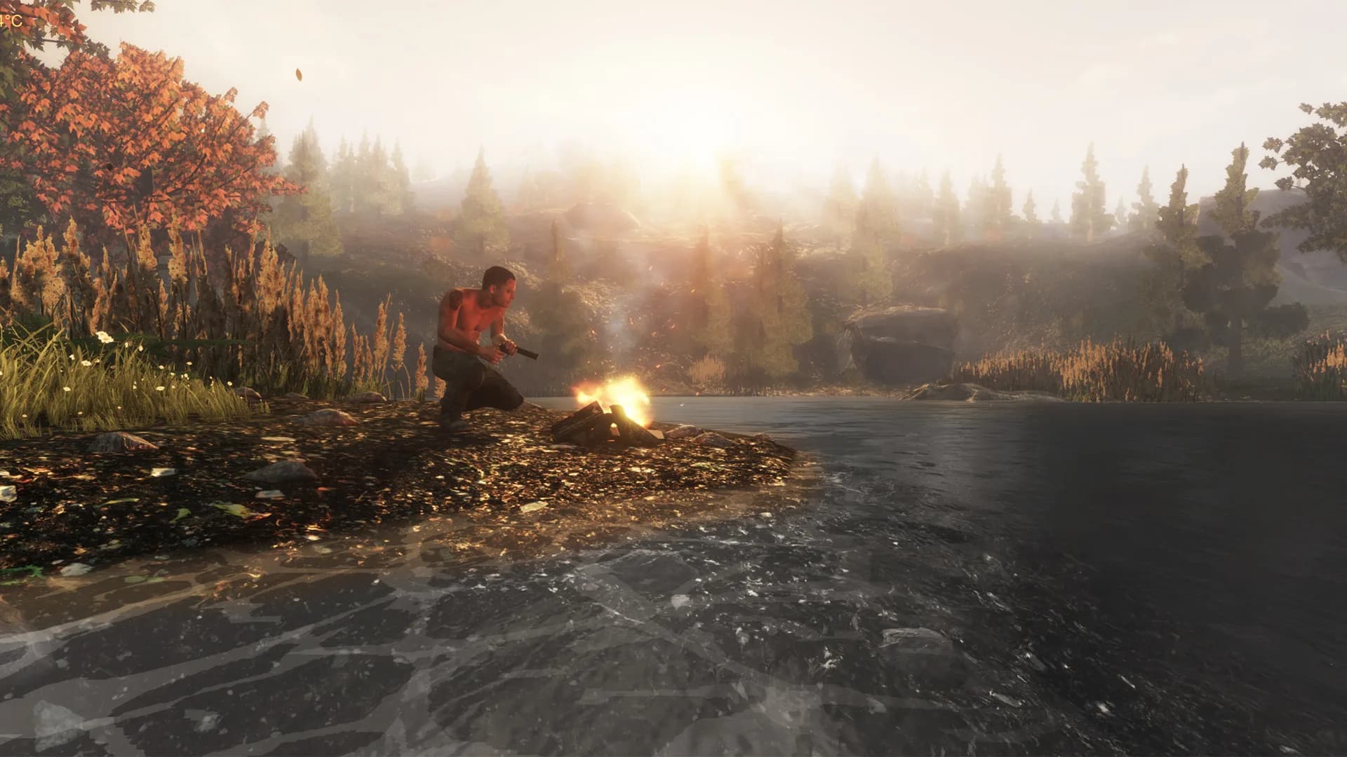 Subsistence görsel 2