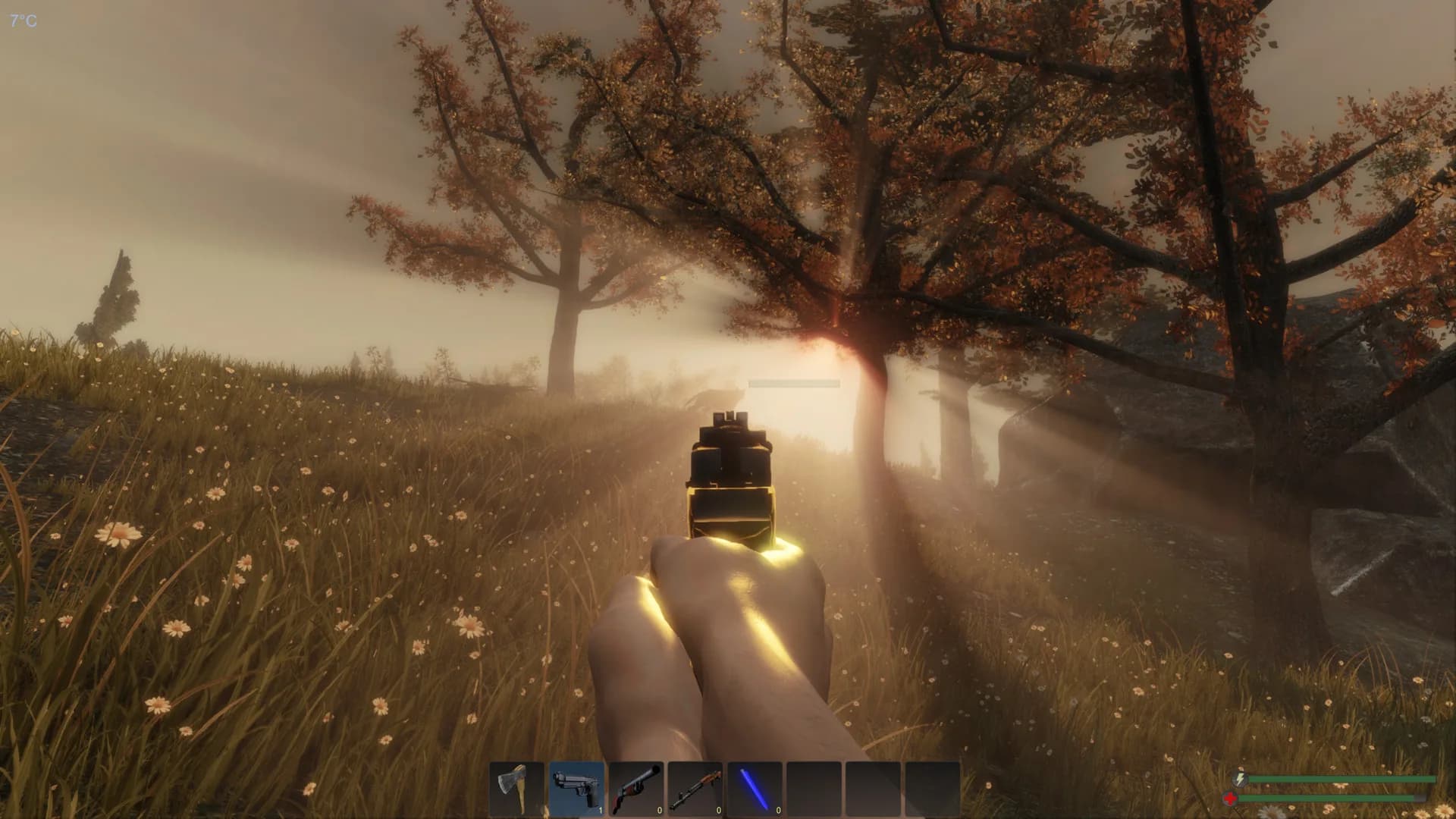 Subsistence görsel 13