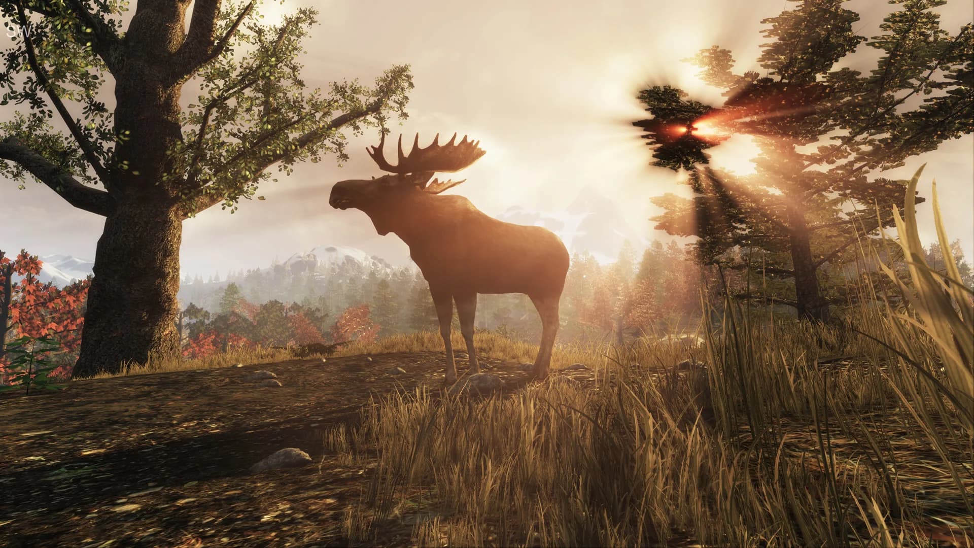 Subsistence görsel 15