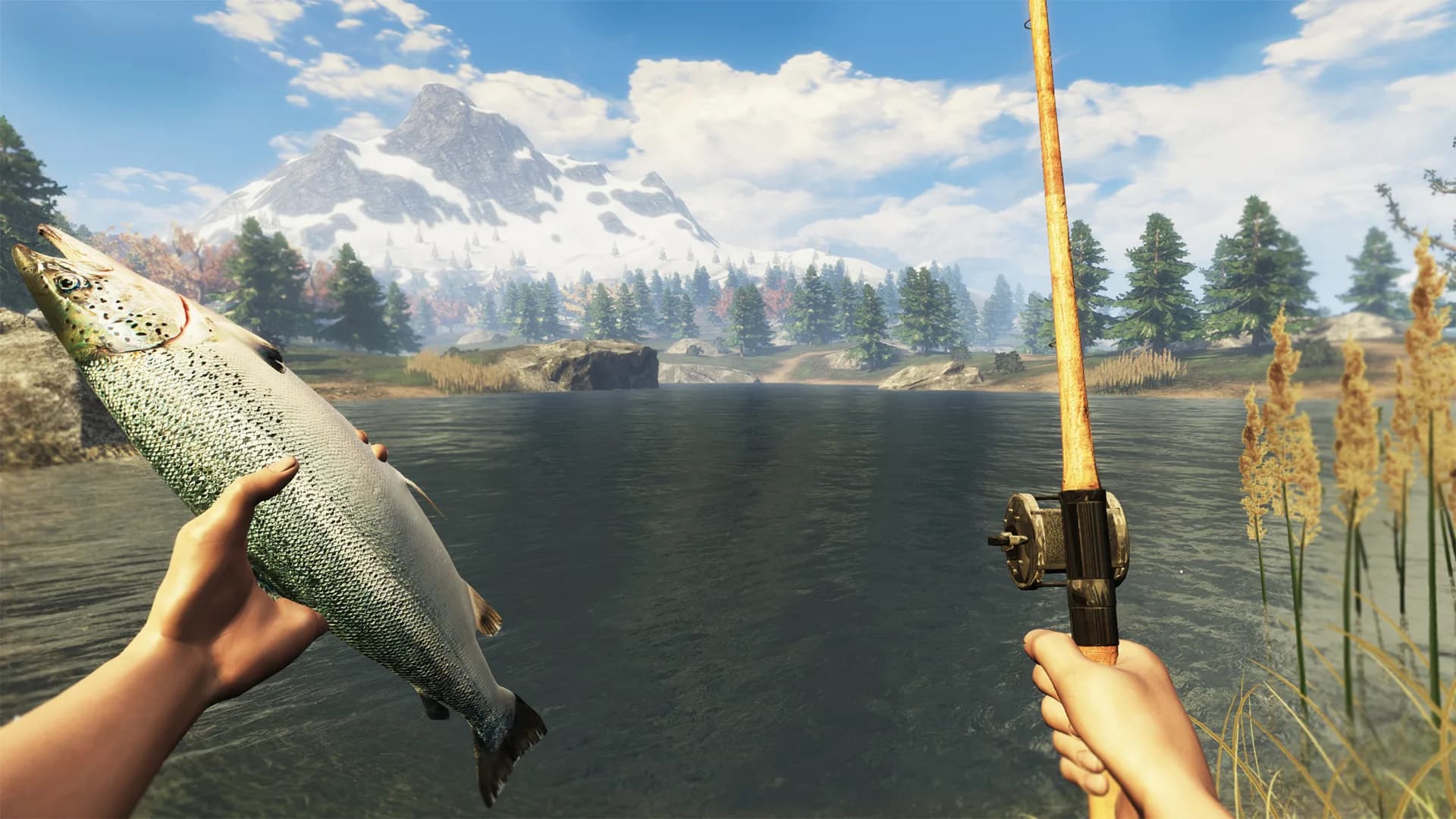 Subsistence görsel 20