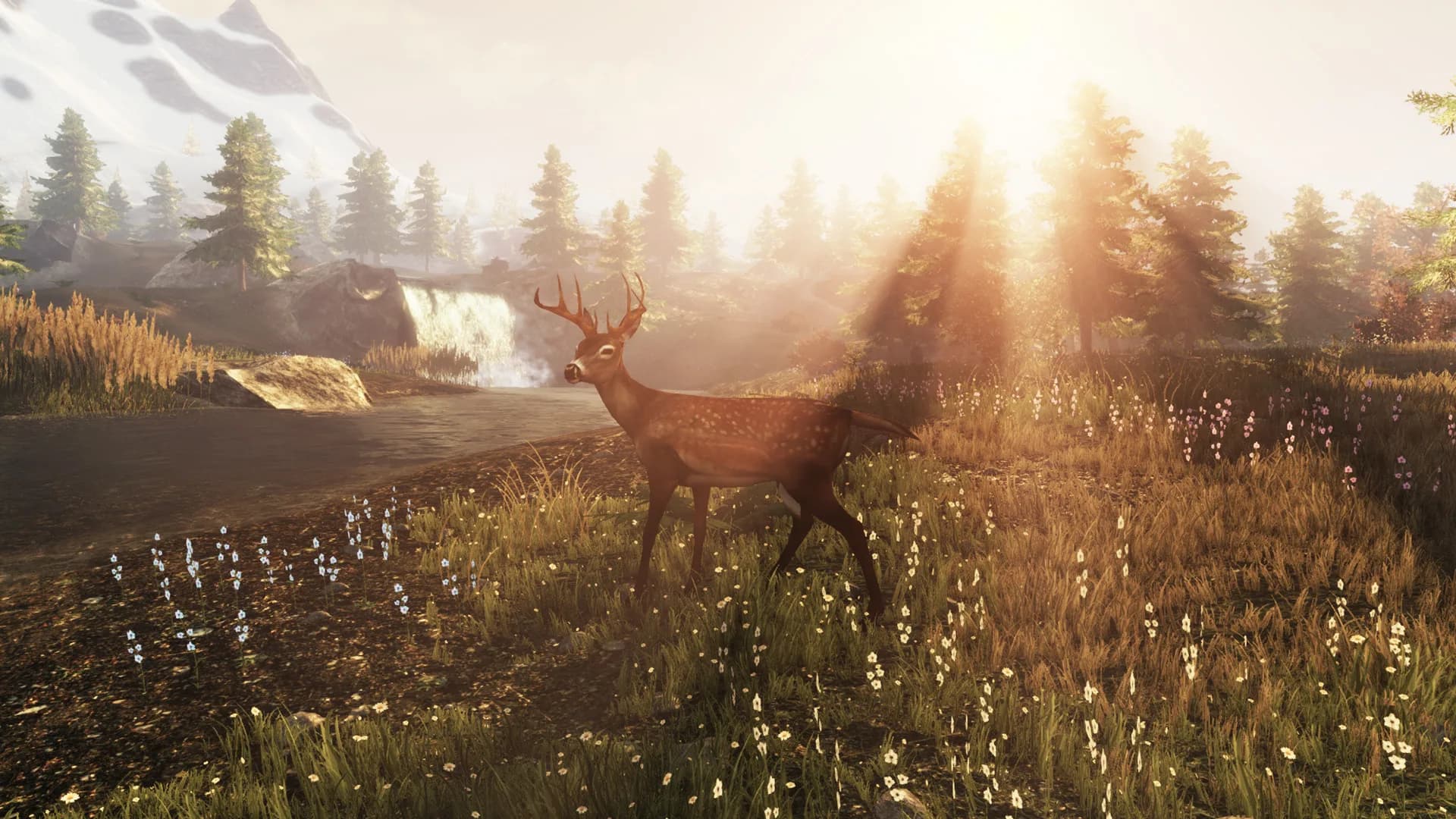 Subsistence görsel 26