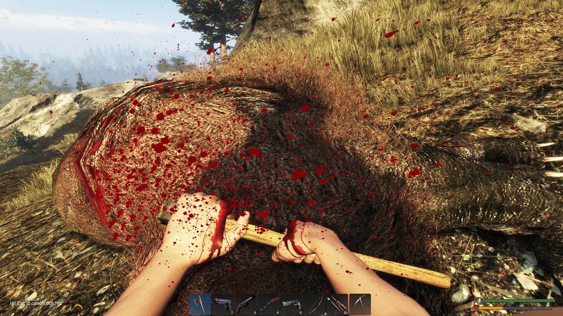Subsistence görsel 40