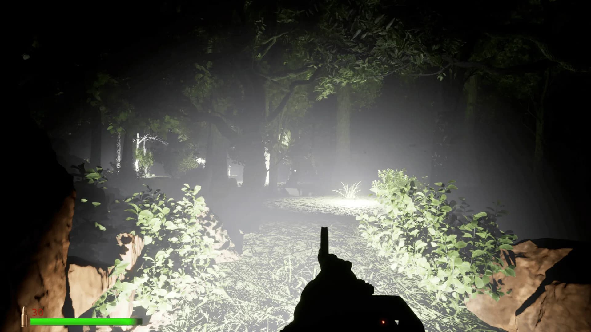 DARK görsel 3