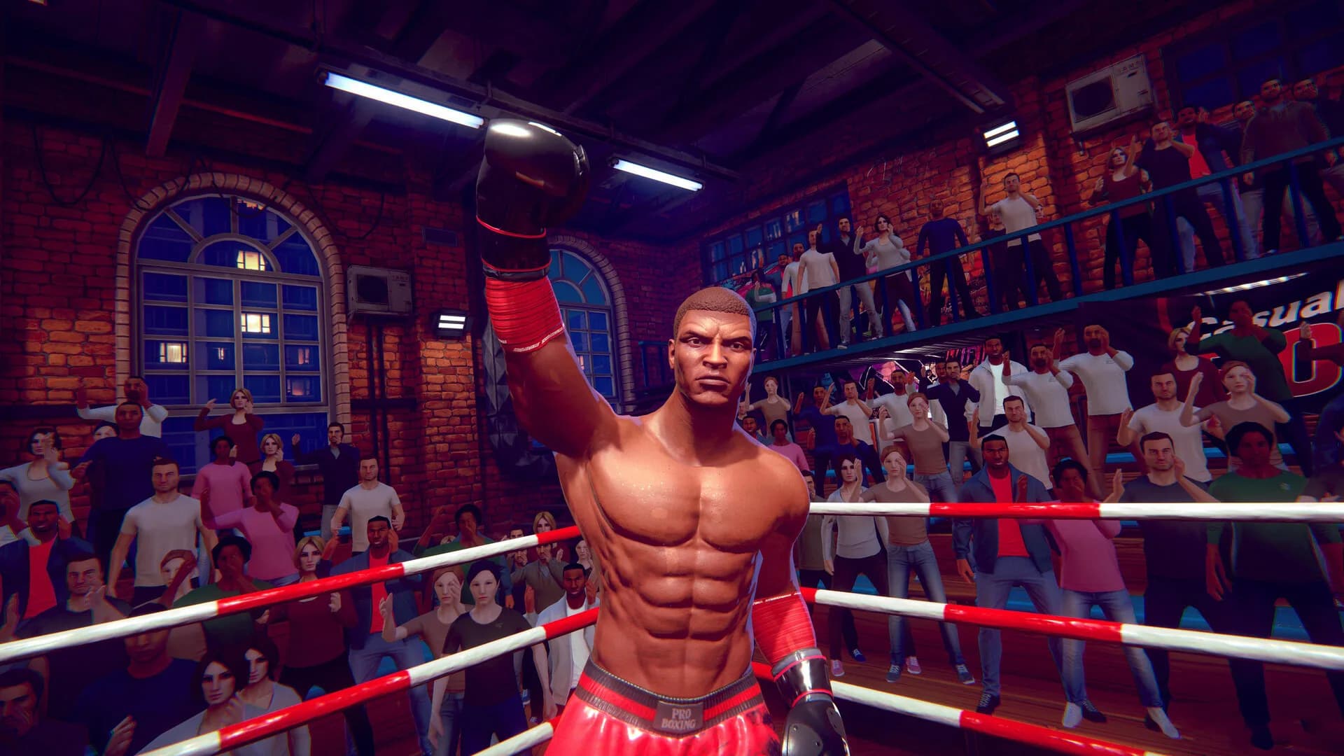 Casual Sport Series: Boxing görsel 3