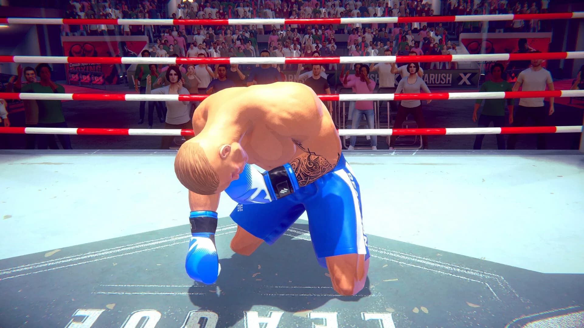 Casual Sport Series: Boxing görsel 10