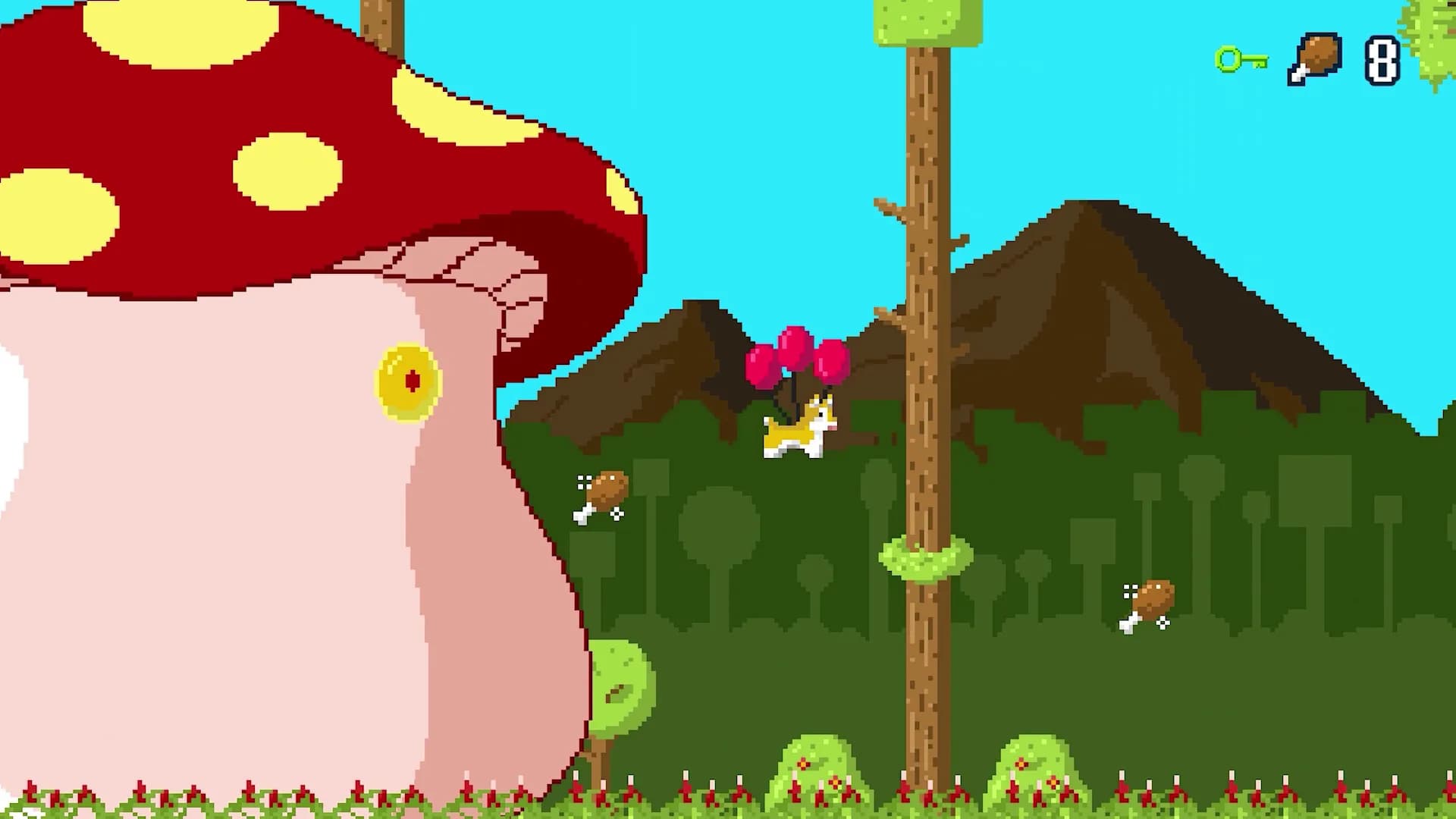 Hop Hop! Donut görsel 5