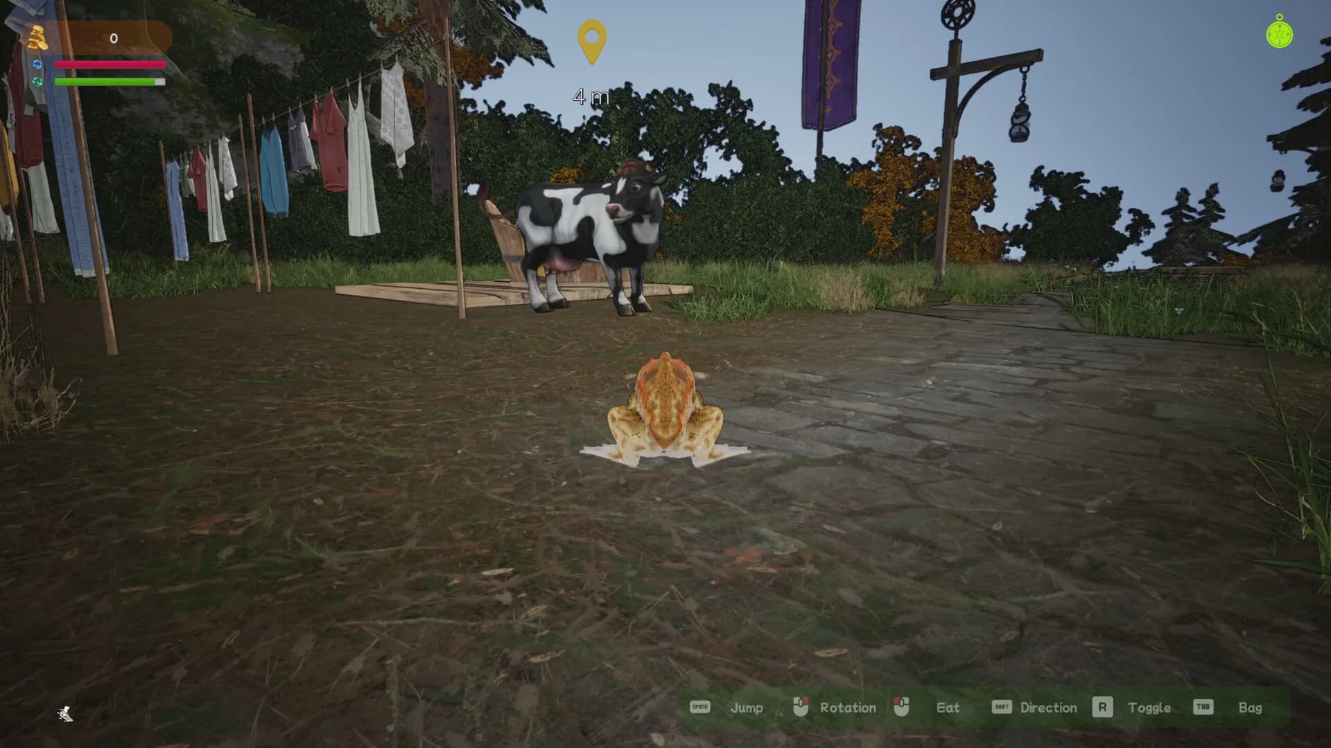 Crazy Toad görsel 7