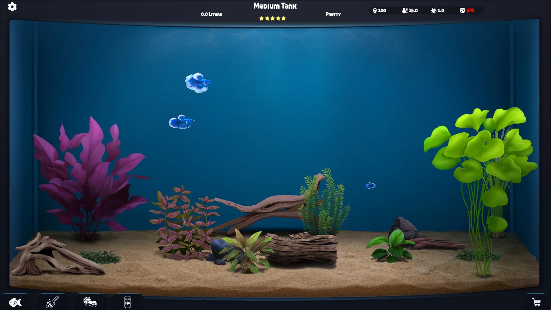 The Fish Corner görsel 5