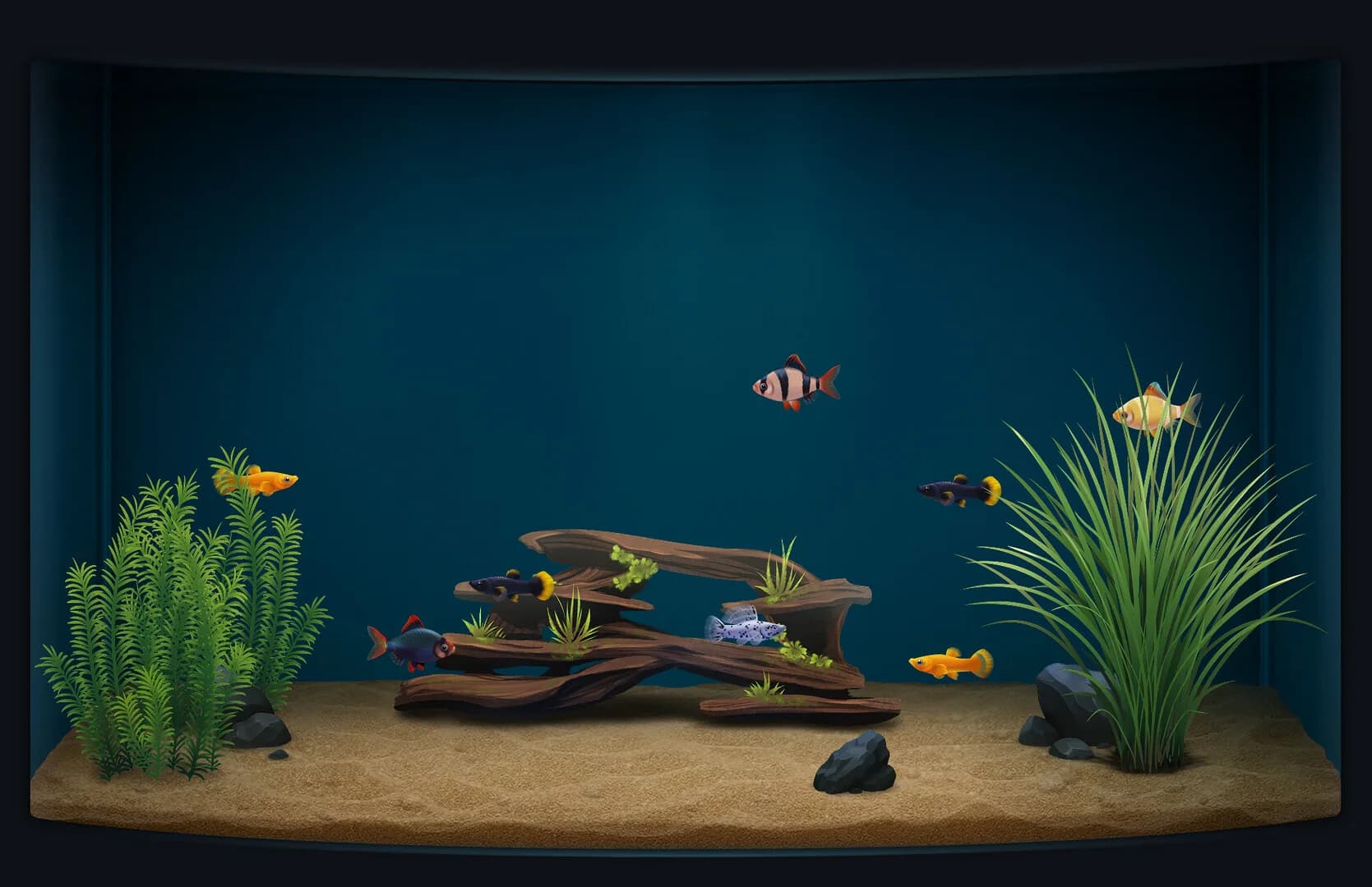 The Fish Corner görsel 7