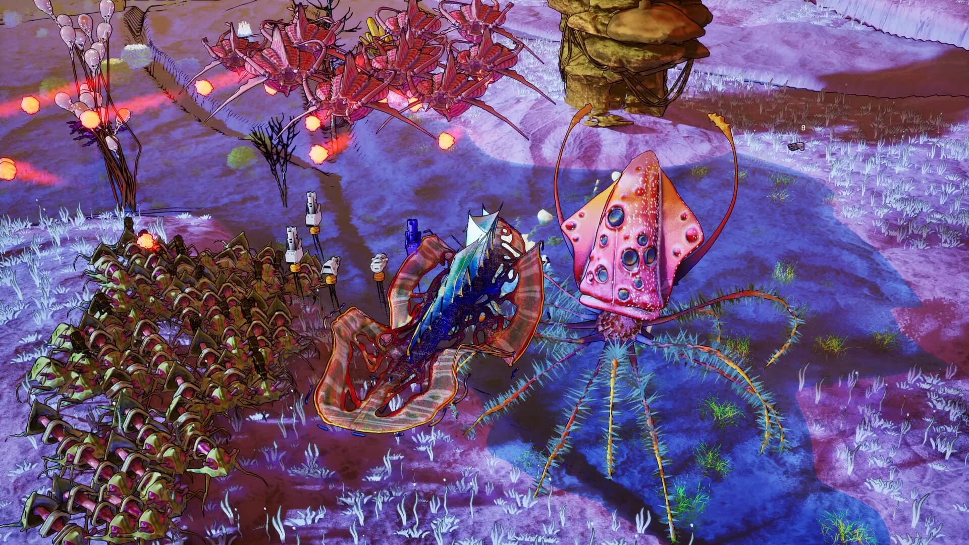 POLYMORPH görsel 3
