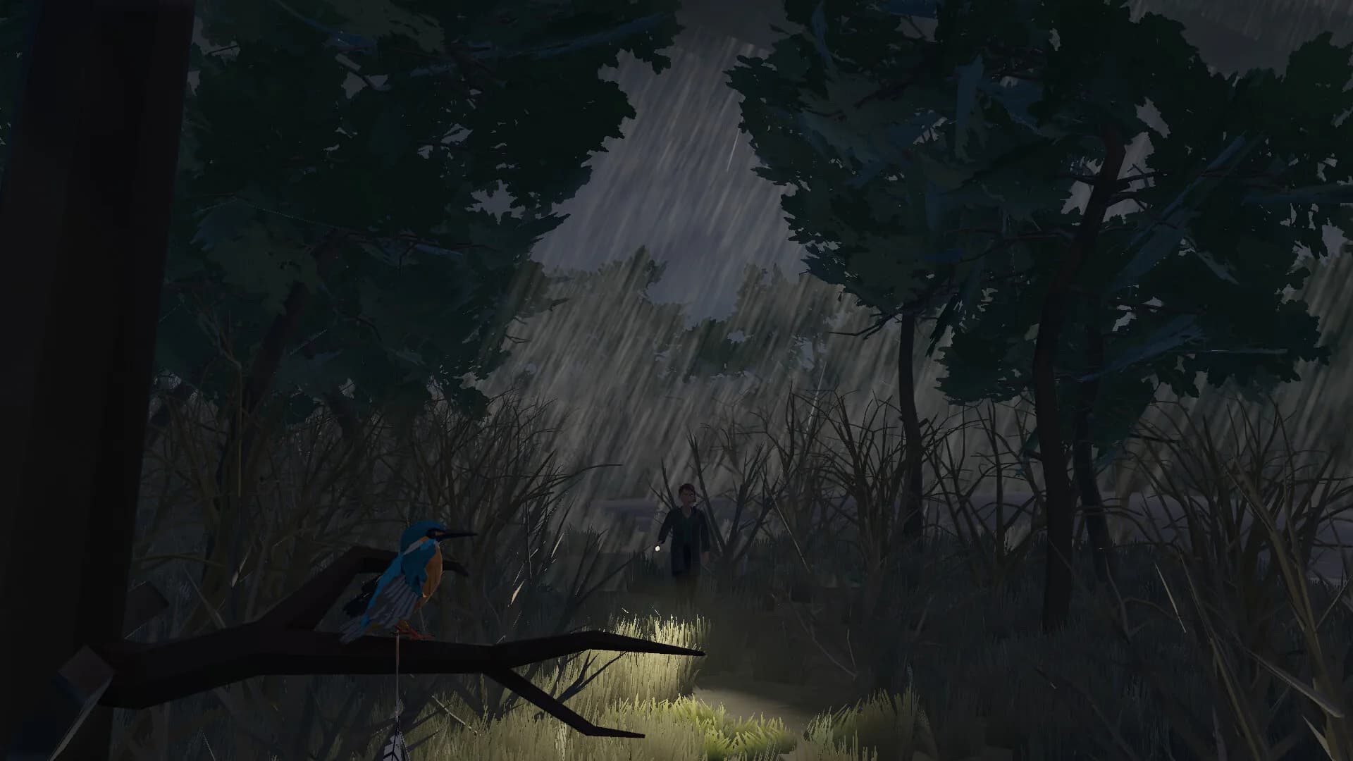 Kingfisher: An Autism Tale görsel 6