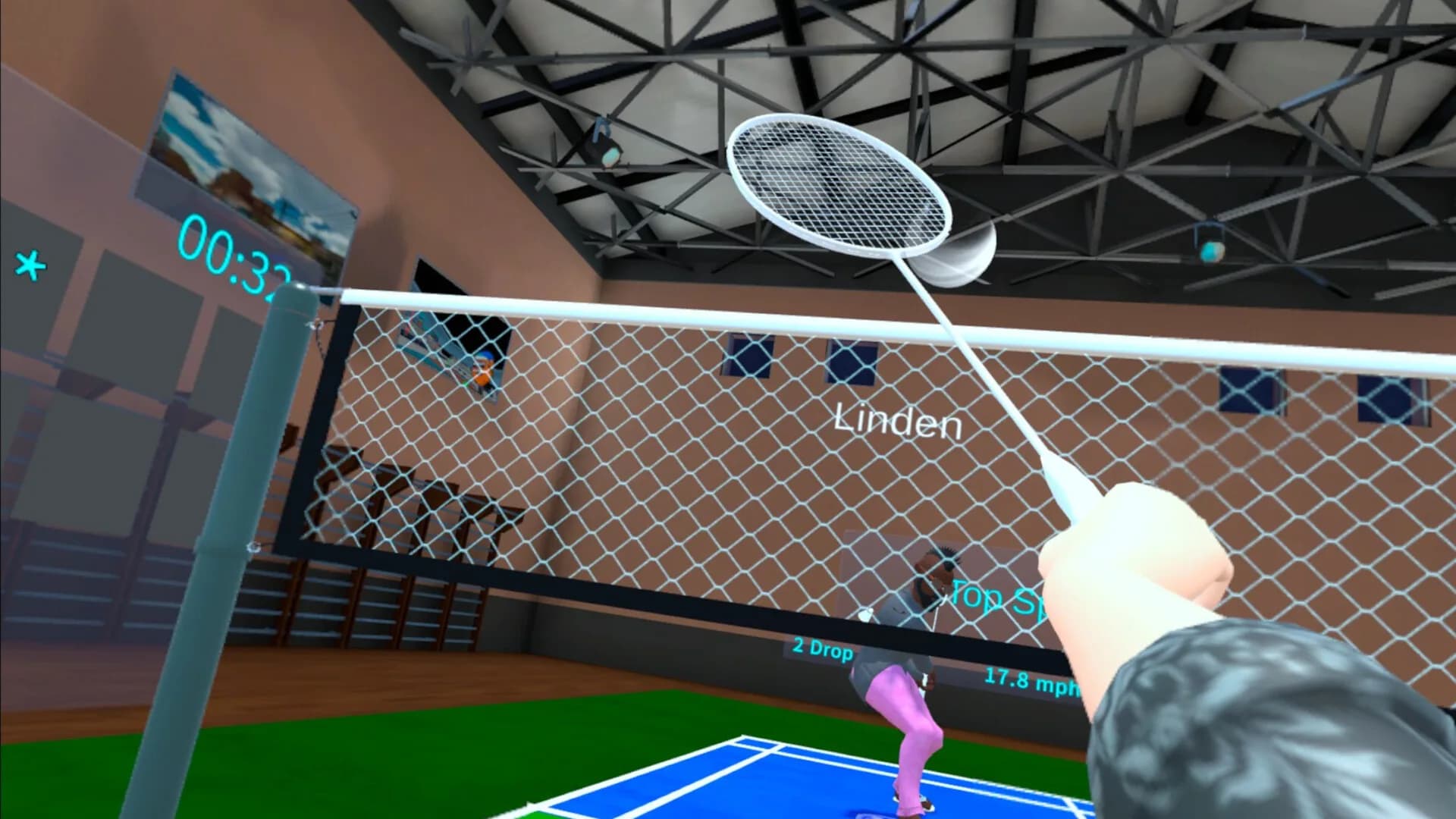 Pickleball görsel 5