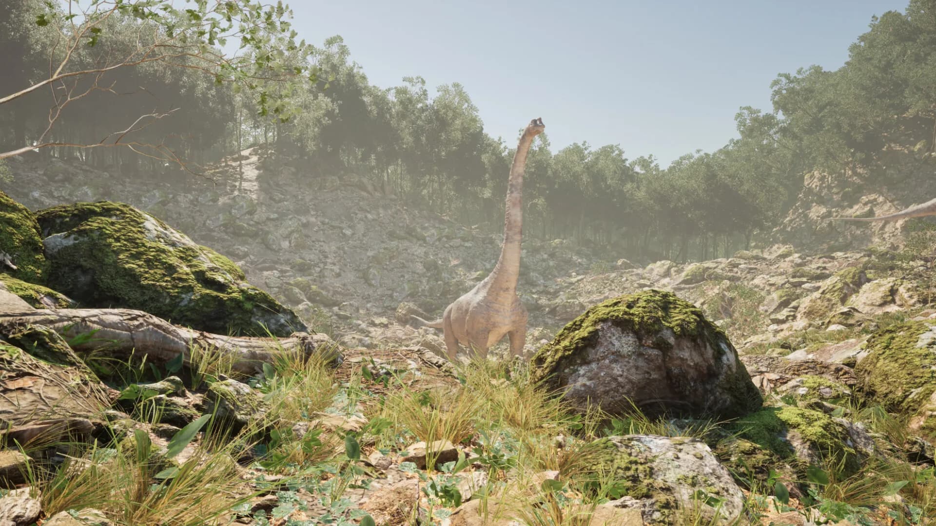 Extinct Forest görsel 7