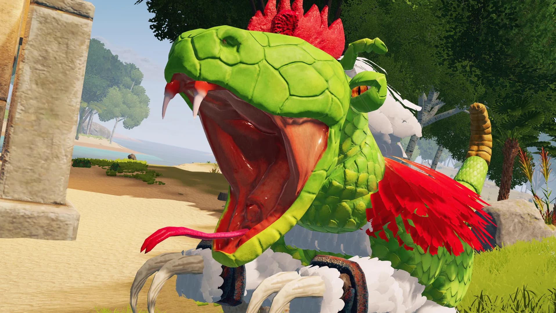 CHKN görsel 8