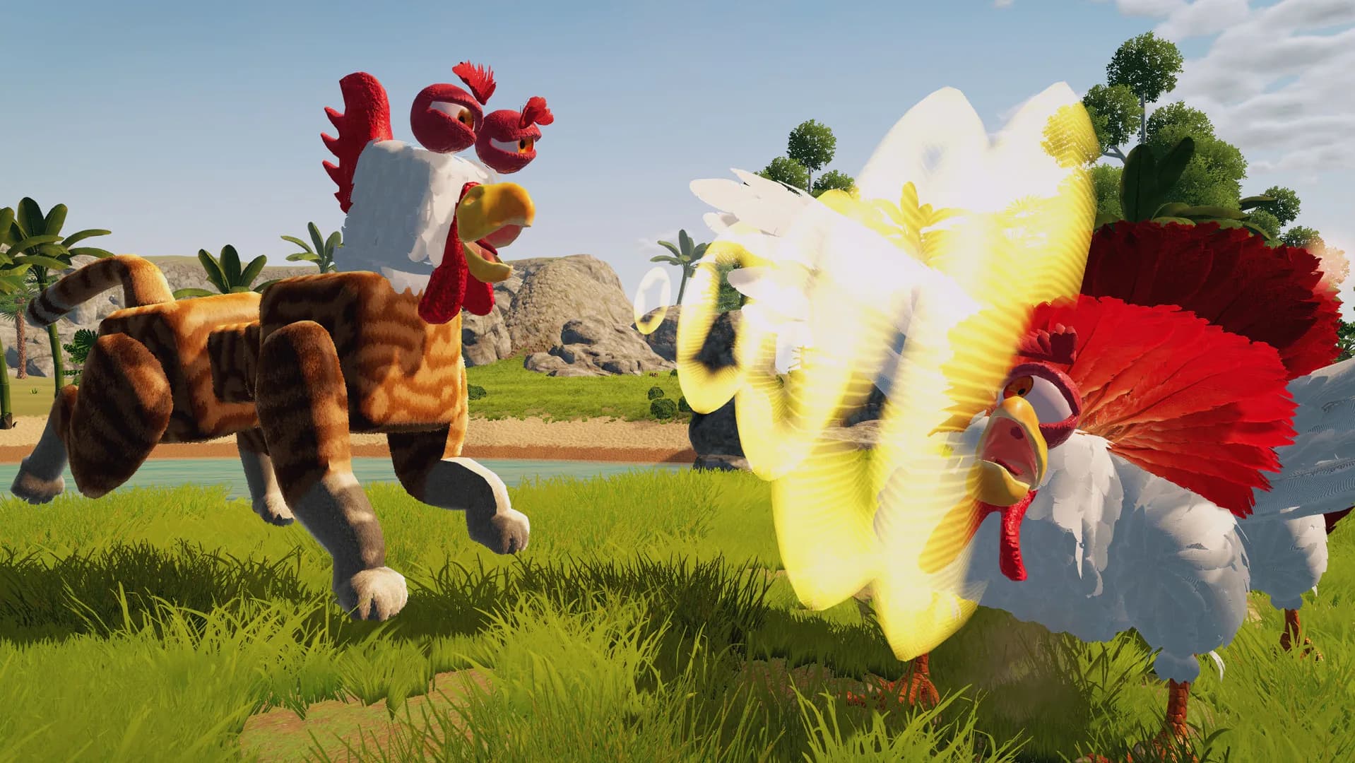 CHKN görsel 9