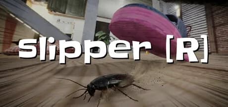 Slipper [R] 