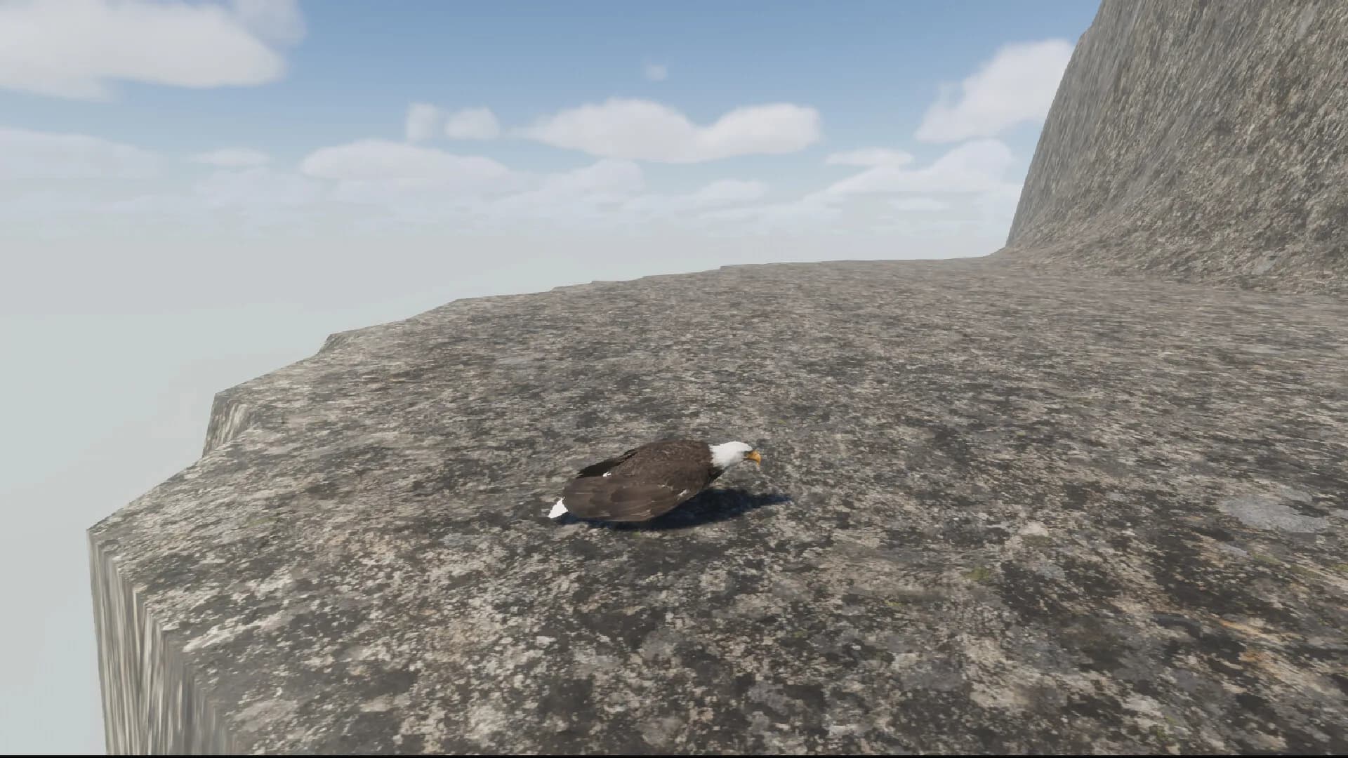 Bird Game 3 görsel 3
