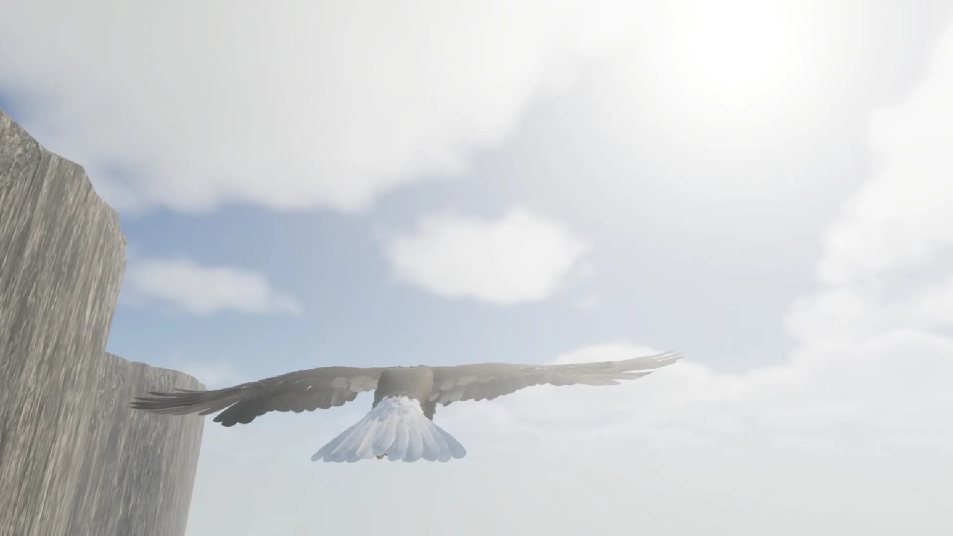 Bird Game 3 görsel 4