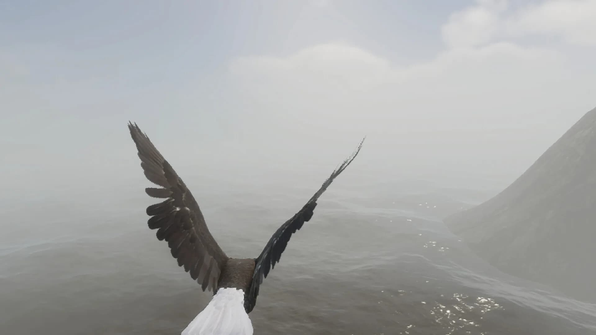 Bird Game 3 görsel 7