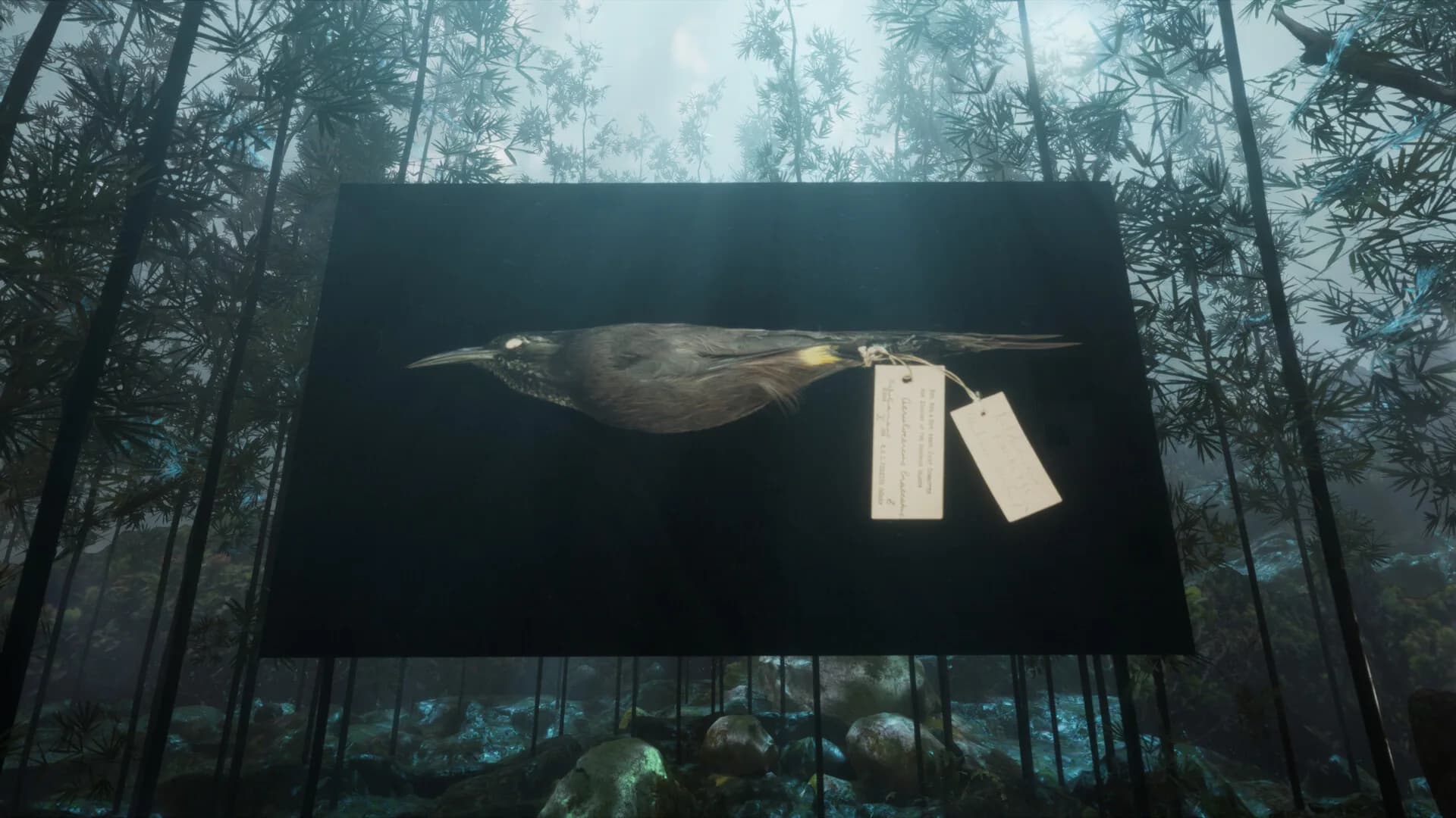 RE-ANIMATED görsel 5