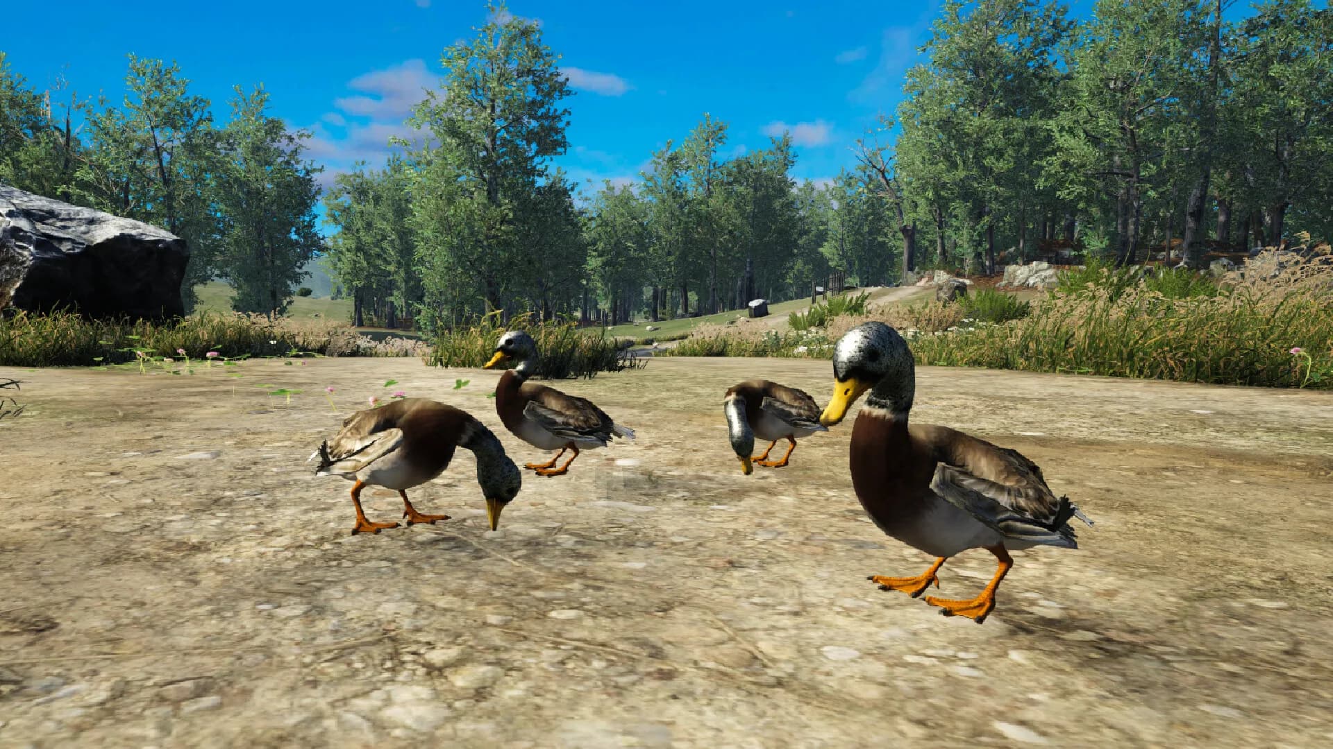 Bird Game 3 Online görsel 3