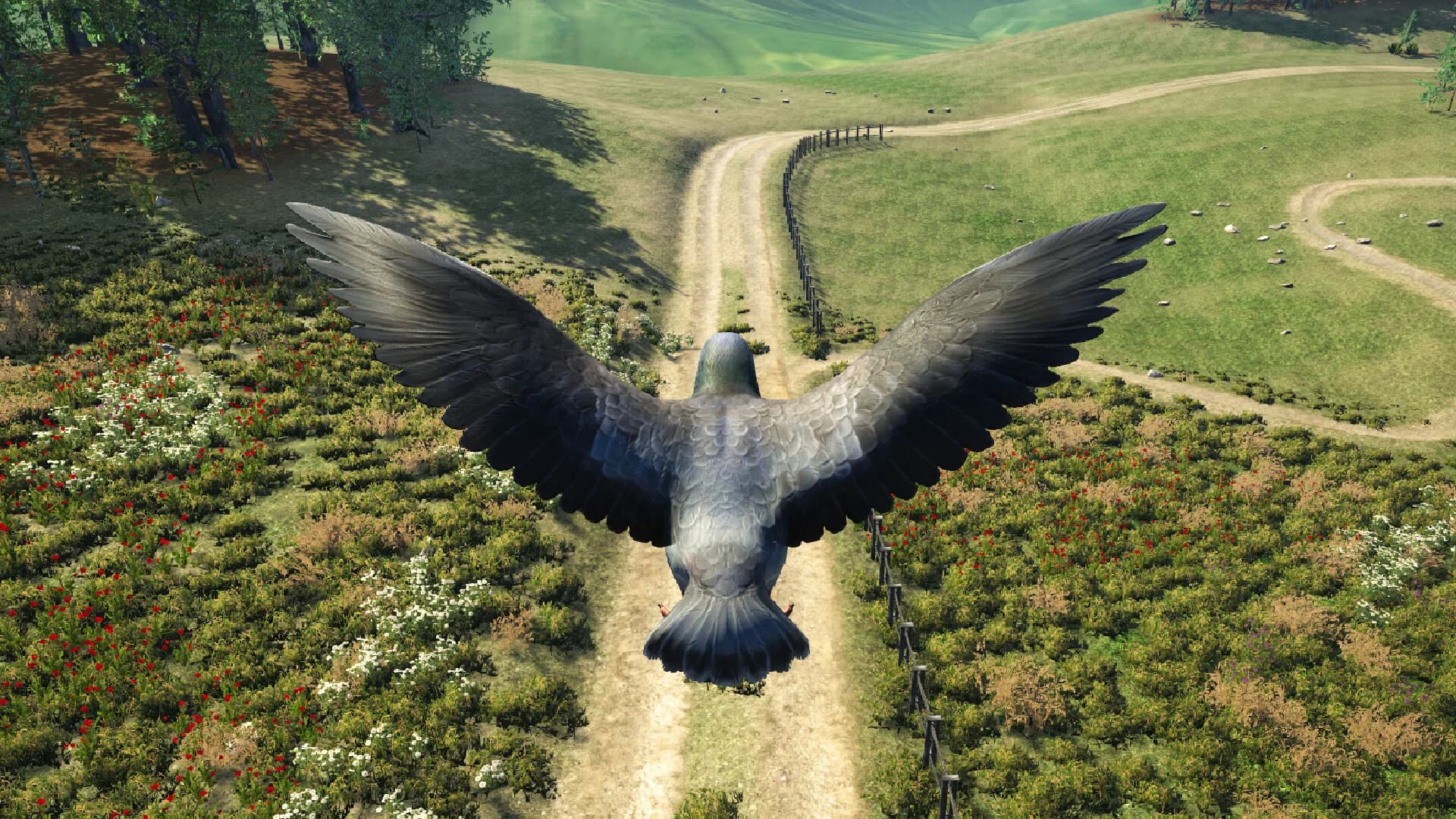 Bird Game 3 Online görsel 4
