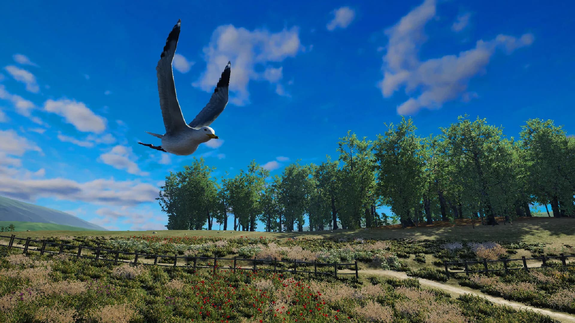 Bird Game 3 Online görsel 5