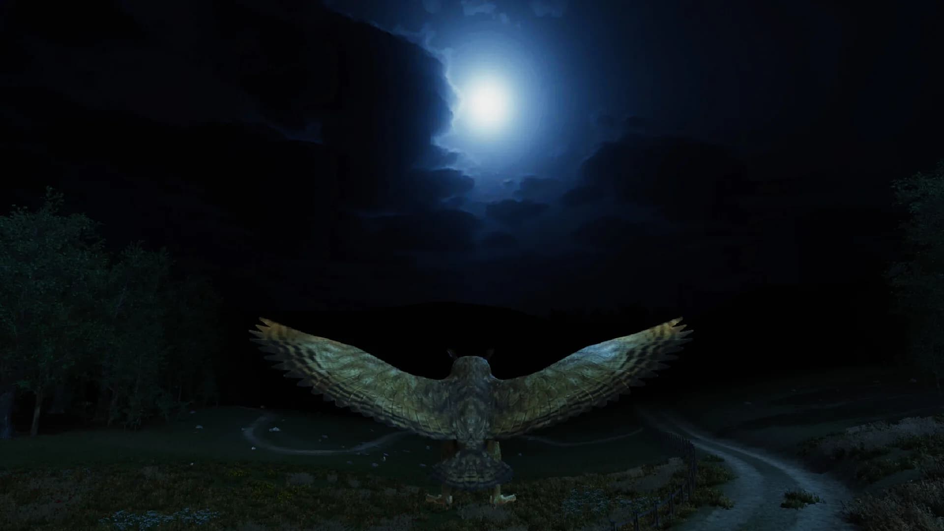 Bird Game 3 Online görsel 6