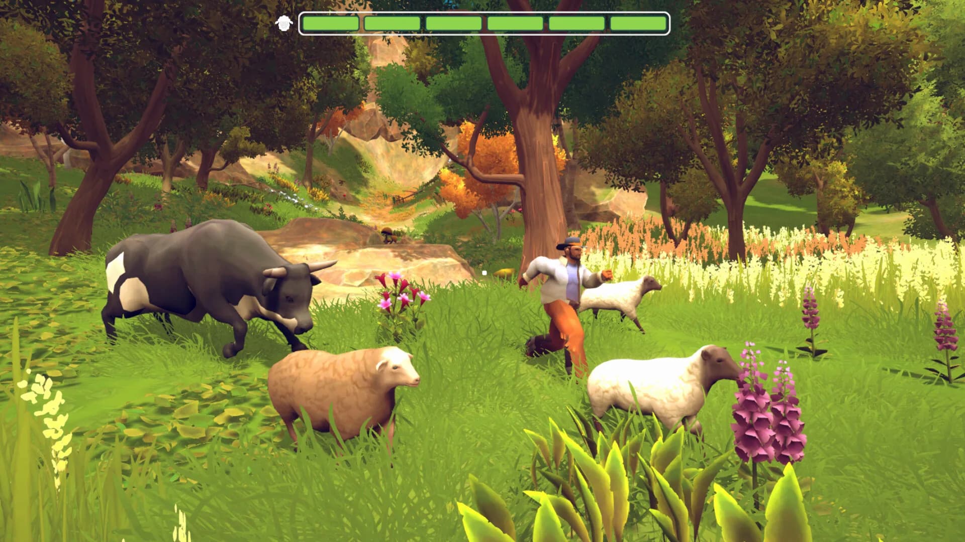 Sheep Way görsel 6