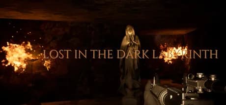 LOST IN THE DARK LABYRINTH