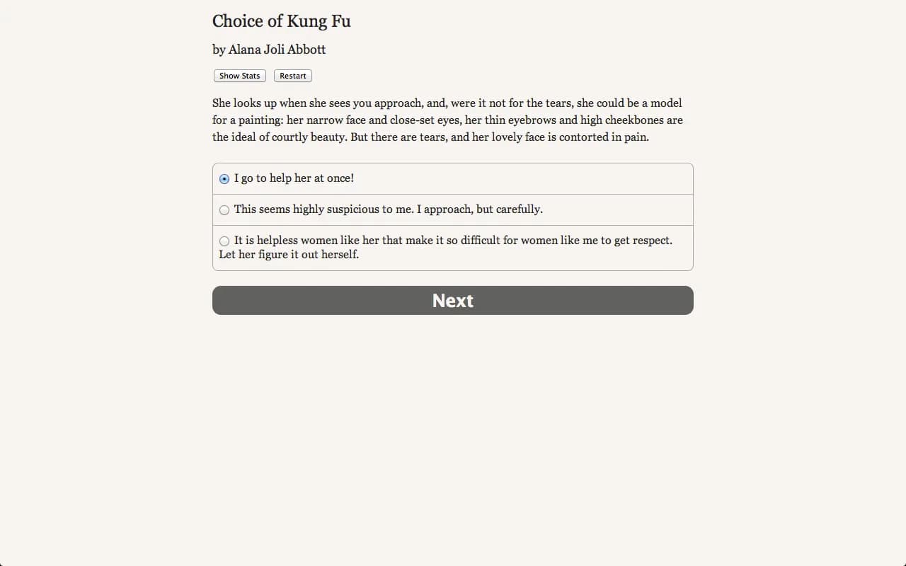 Choice of Kung Fu görsel 3