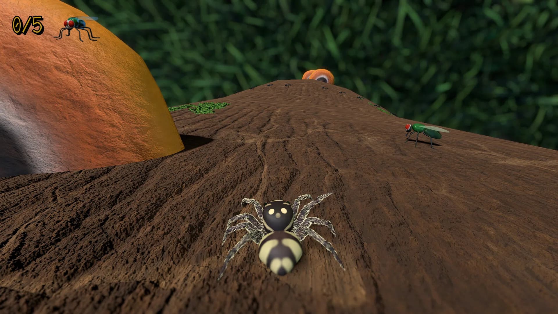 A little Jumpingspider's Garden Adventure (Day 1+2) görsel 3
