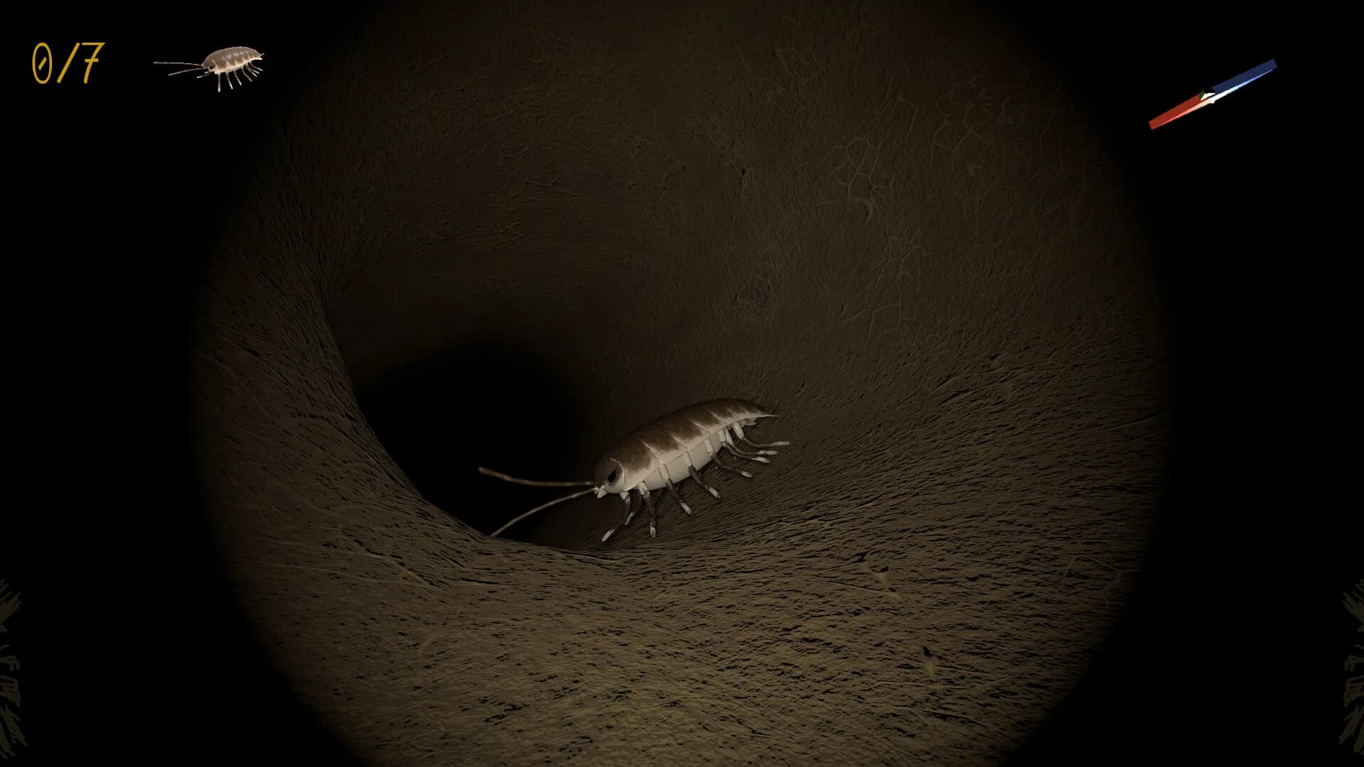 A little Jumpingspider's Garden Adventure (Day 1+2) görsel 6