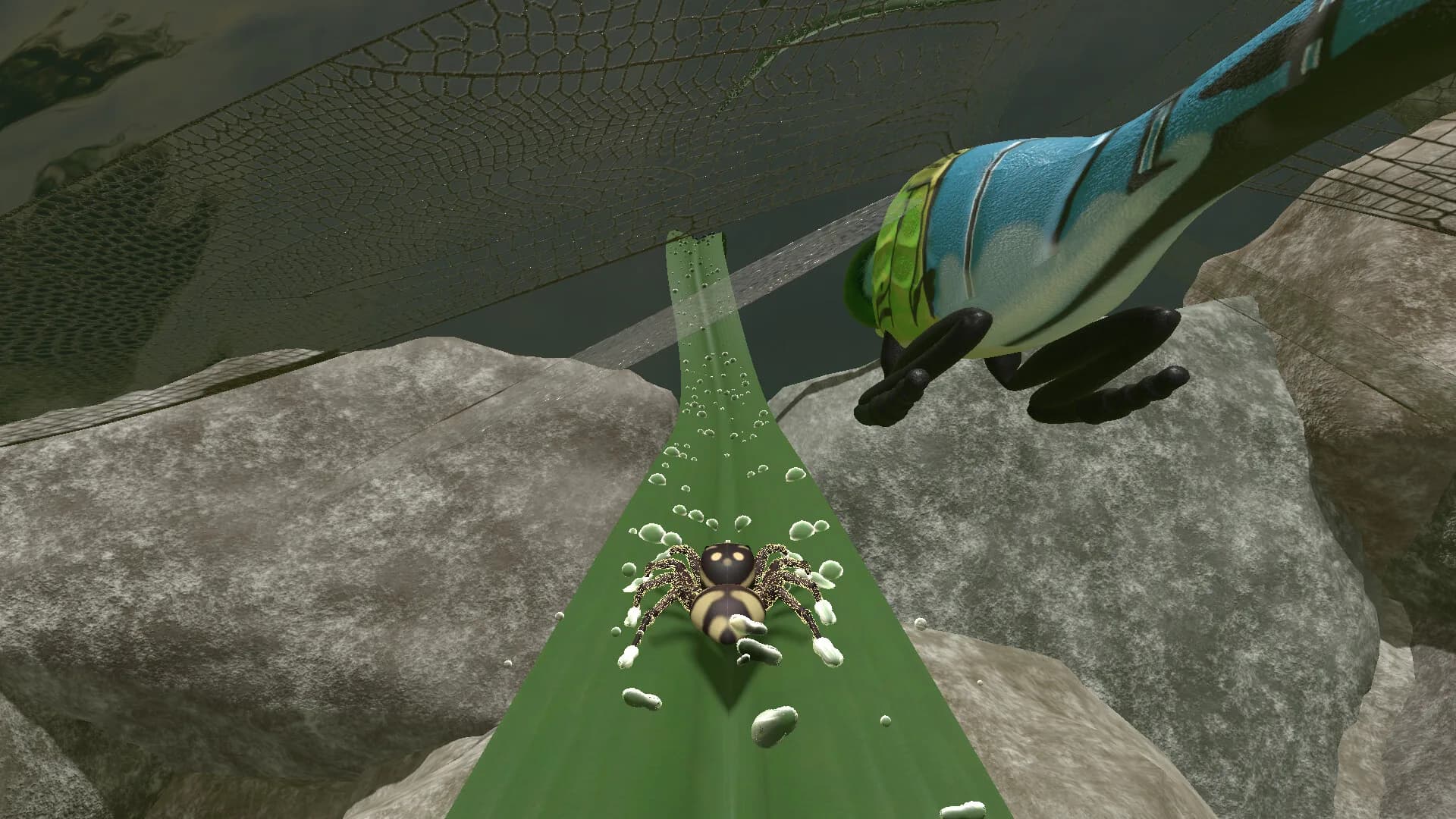 A little Jumpingspider's Garden Adventure (Day 1+2) görsel 7