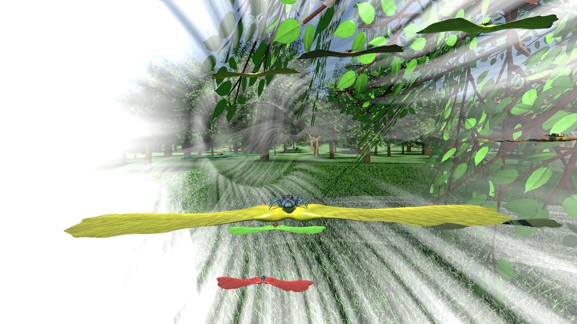 A little Jumpingspider's Garden Adventure (Day 1+2) görsel 9